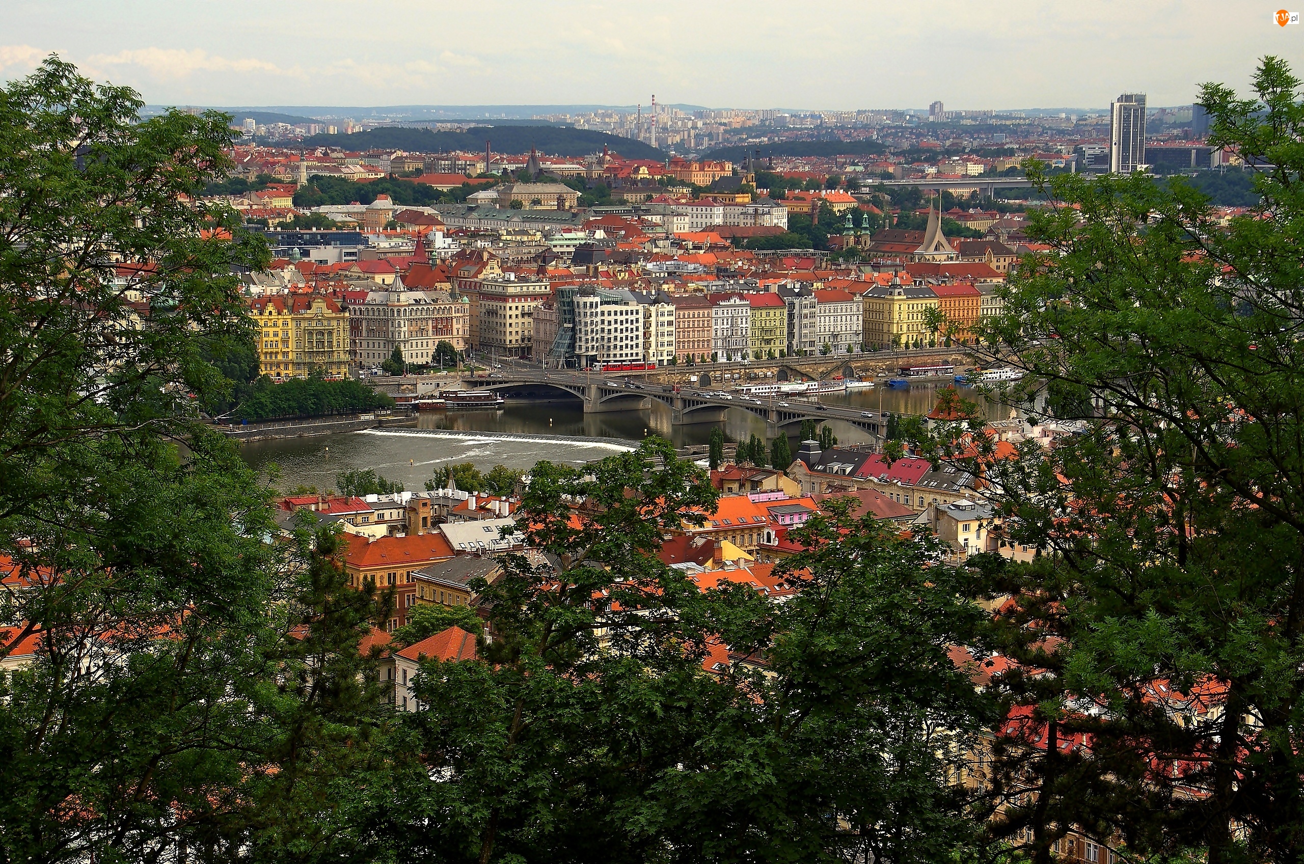 Lotu, Panorama, Praga, Miasta, Z, Ptaka