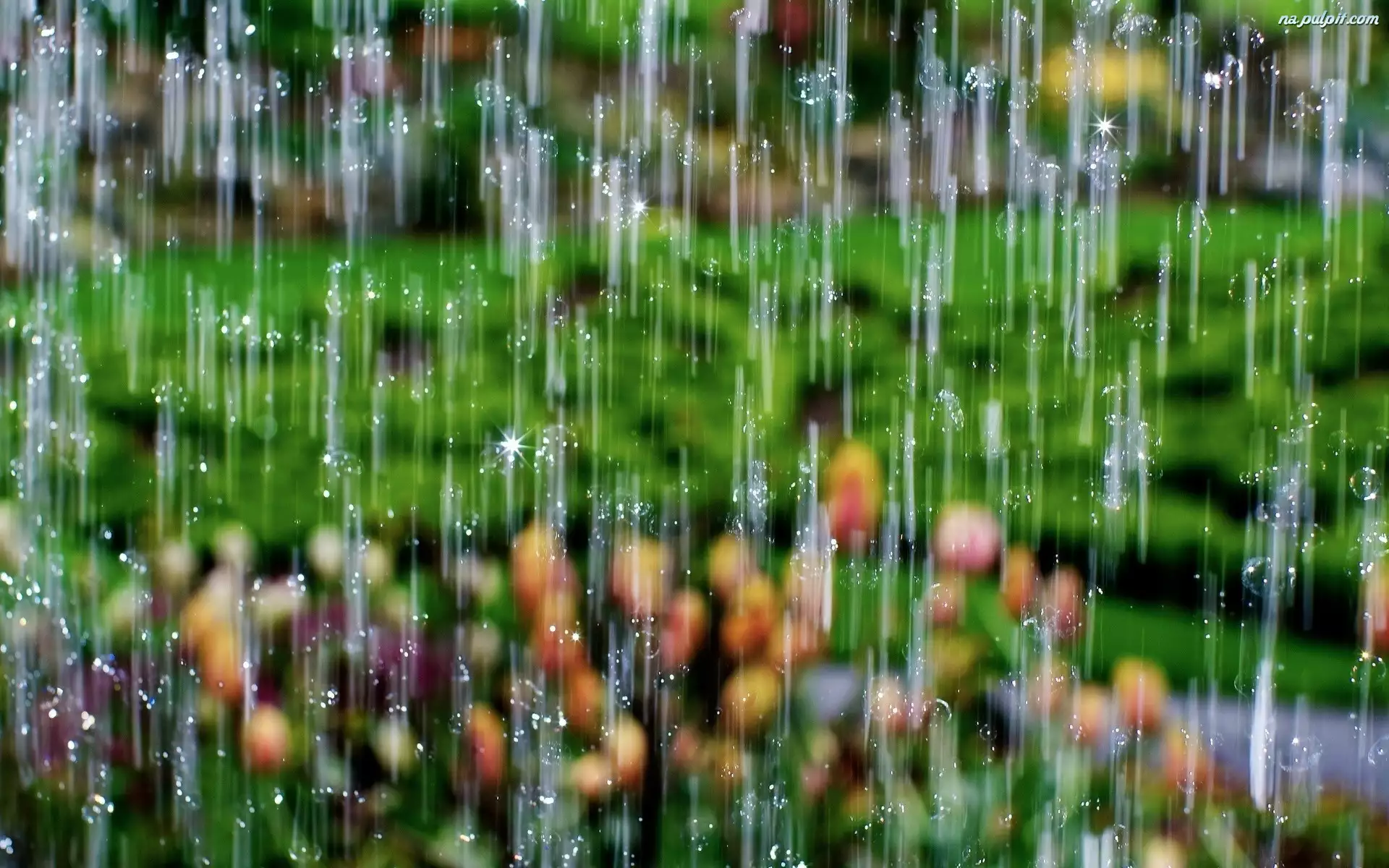 Łąka, Ulewny, Deszcz