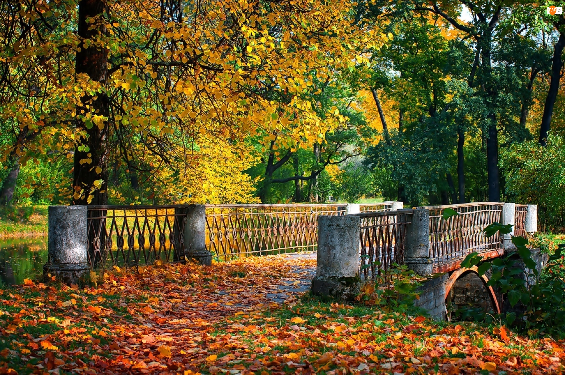 Jesień, Most, Liście, Rzeka, Park