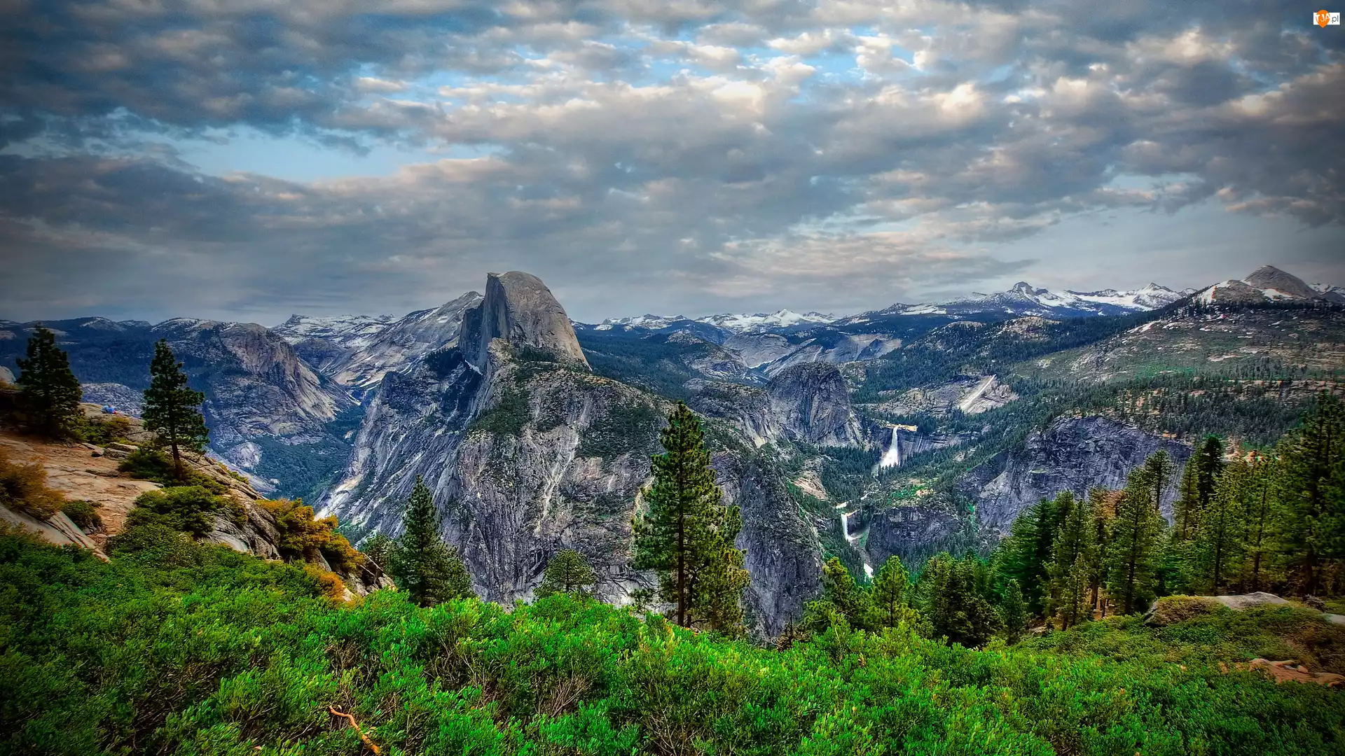 Ciemne, Roślinność, Chmury, Kalifornia, Góry Sierra Nevada, Stany Zjednoczone, Krzewy, Park Narodowy Yosemite, Drzewa