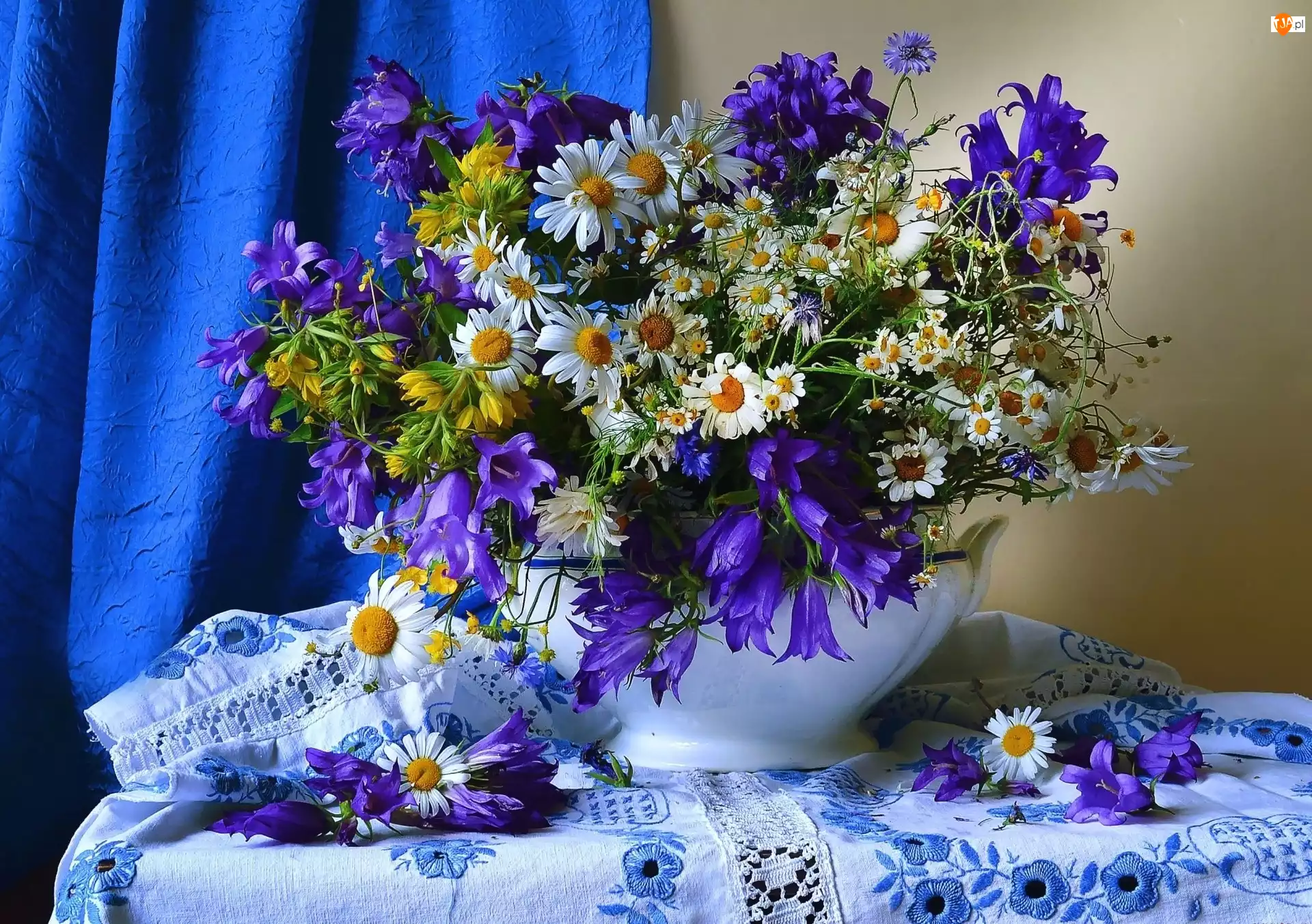 Kwiatów, Bukiet, Polnych