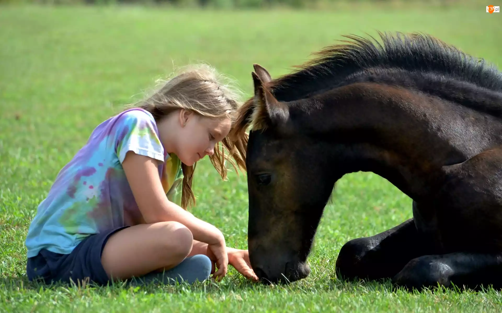 Przyjaźń, Dziewczynka, Koń