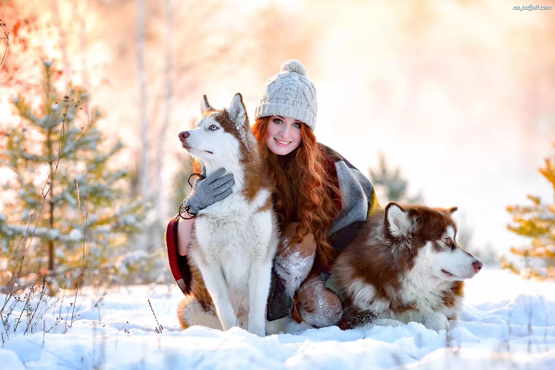 Siberian Husky, Zima, Kobieta