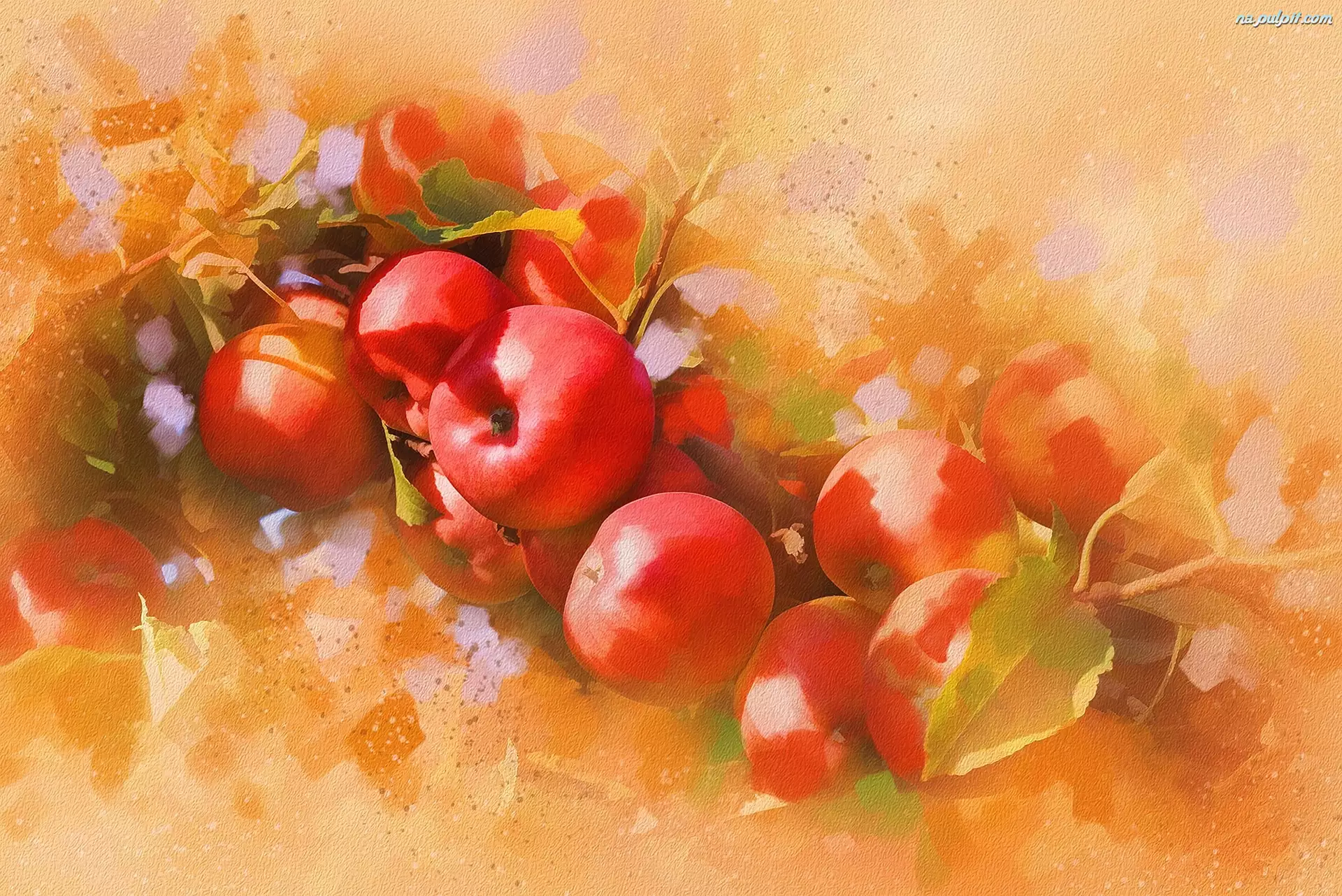 Jabłka, Malarstwo, Obraz