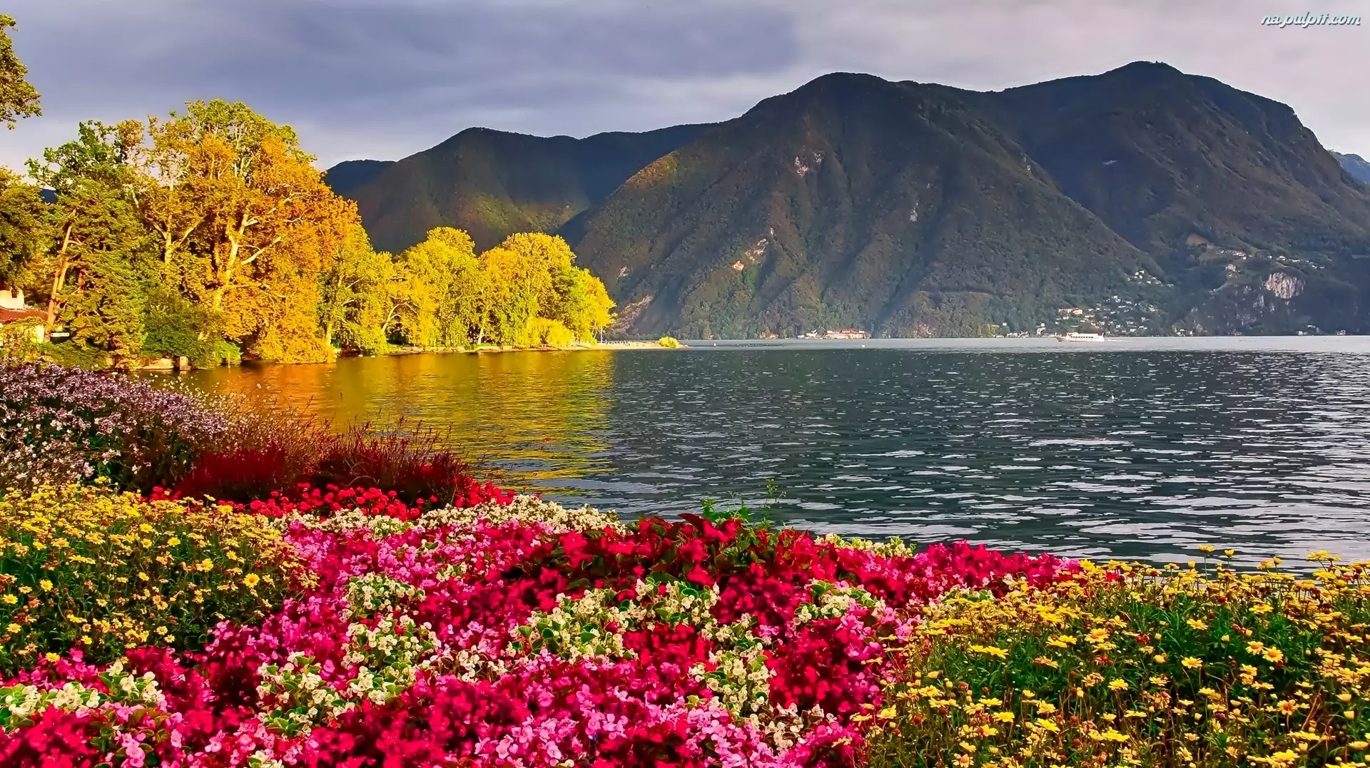 Kwiaty, Jesień, Jezioro, Góry, Kolorowe