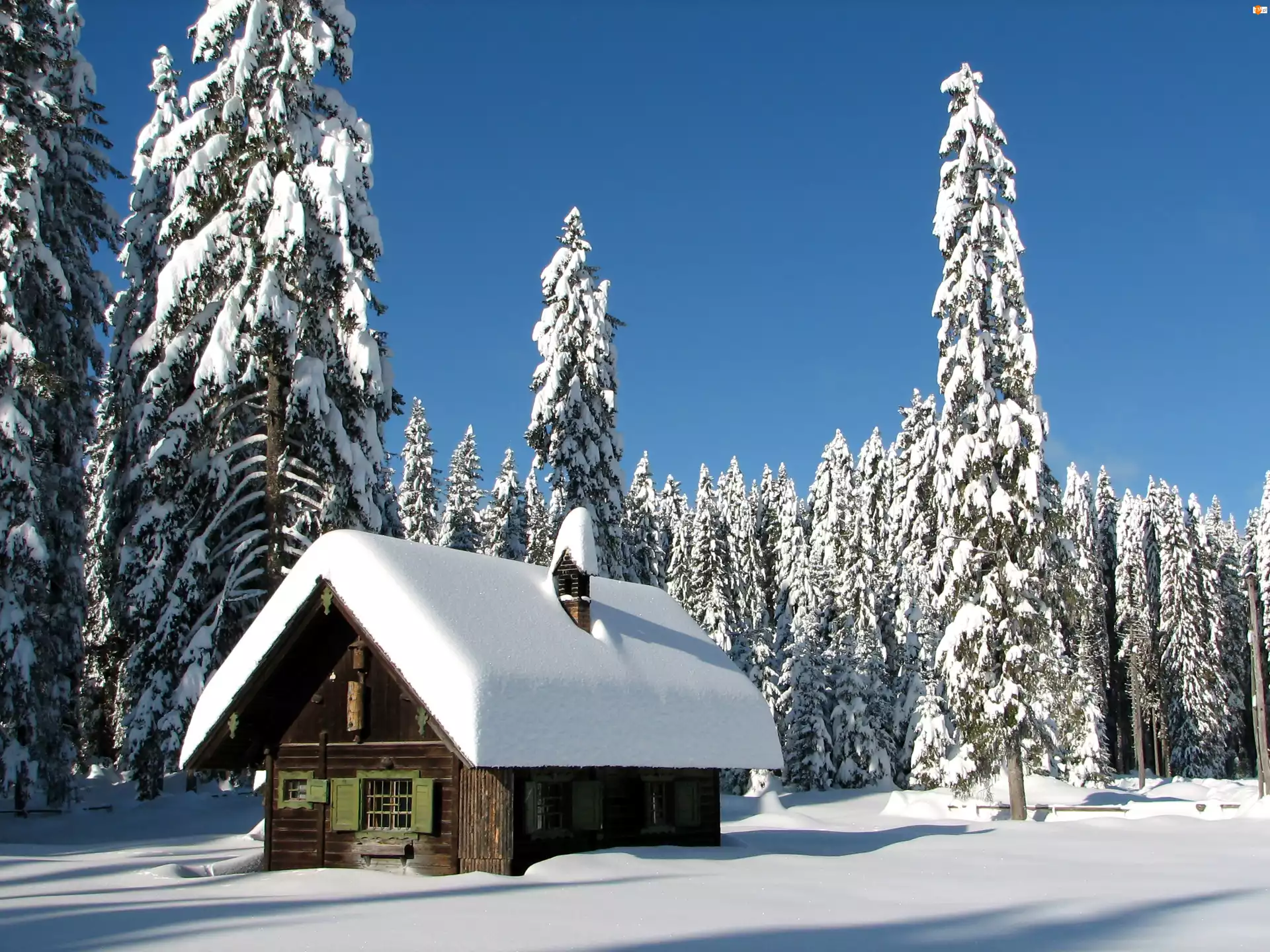 Śnieg, Zima, Ośnieżone, Dom, Drzewa