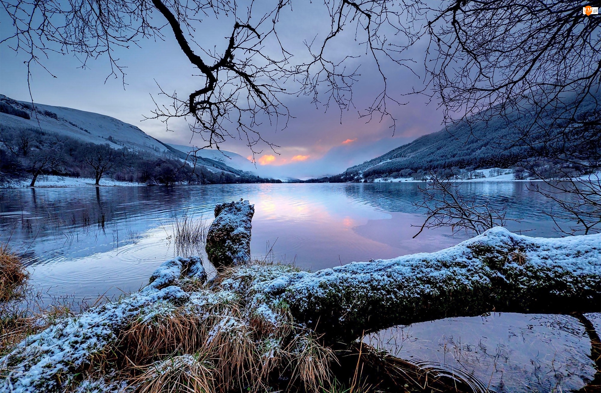 Lasy, Zima, Jezioro Loch Voil, Szkocja, Góry, Drzewa