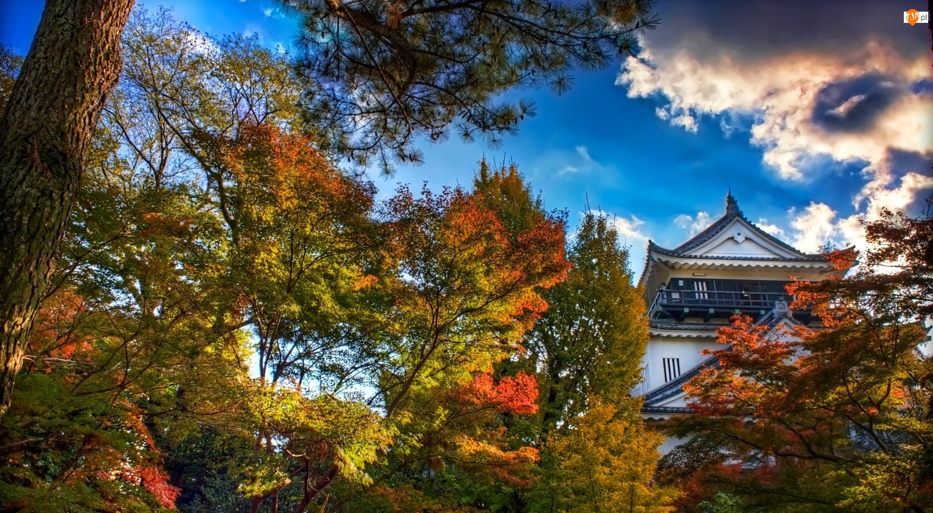 Japonia, Zameczek, Jesień
