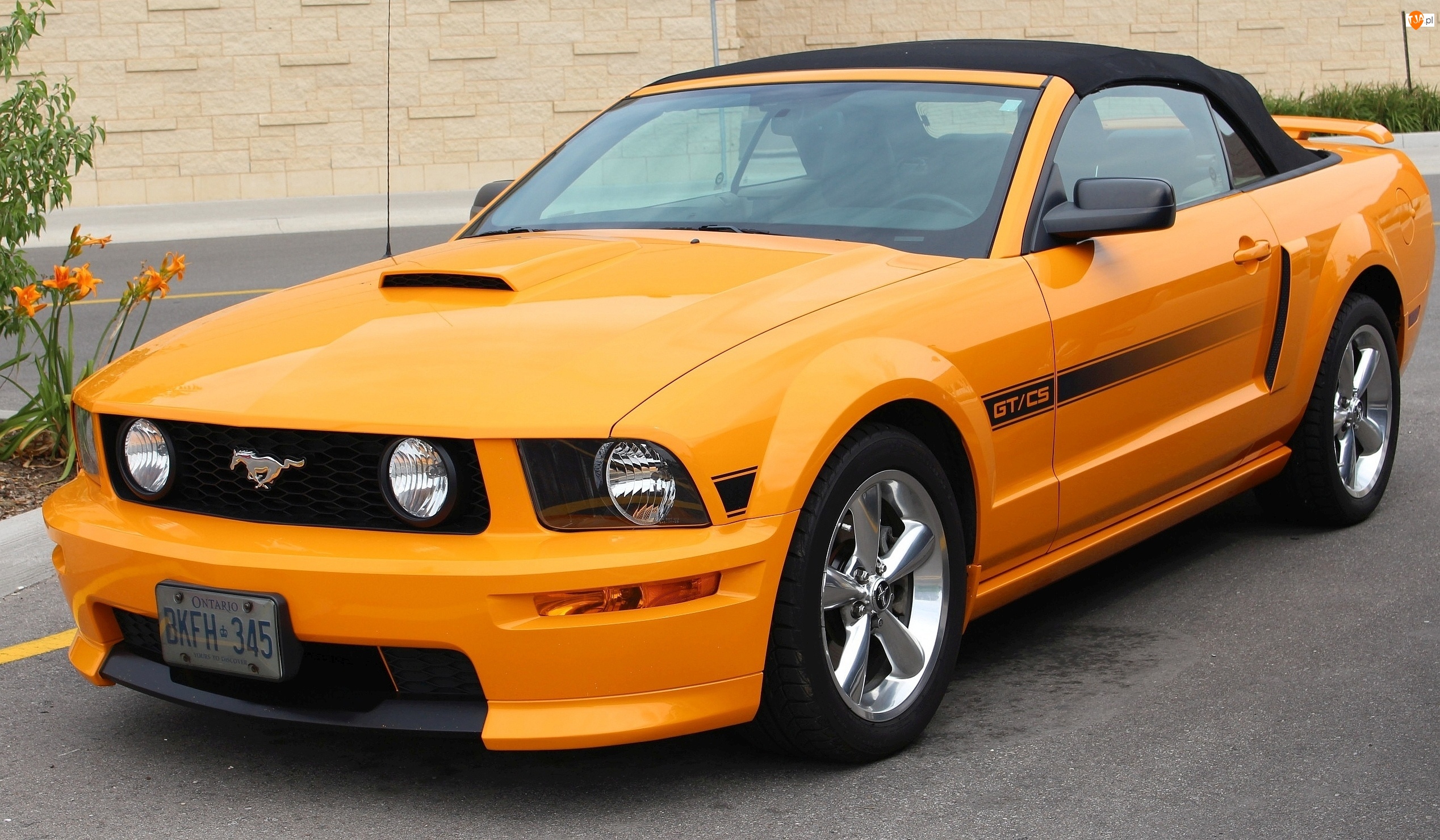 Mustang GT, Pomarańczowy, Ford, Samochód, Kabriolet