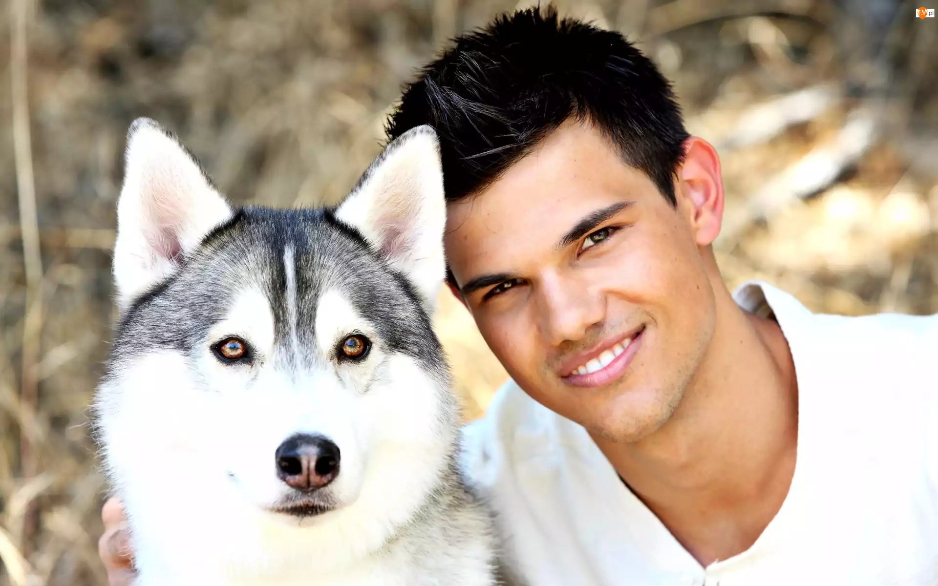 Taylor Lautner, Psa, Uśmiech, Głowa