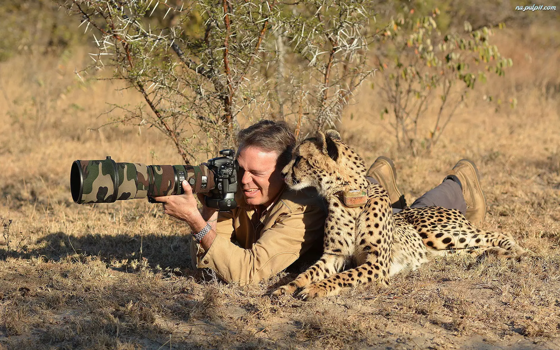 Gepard, Fotograf, Aparat