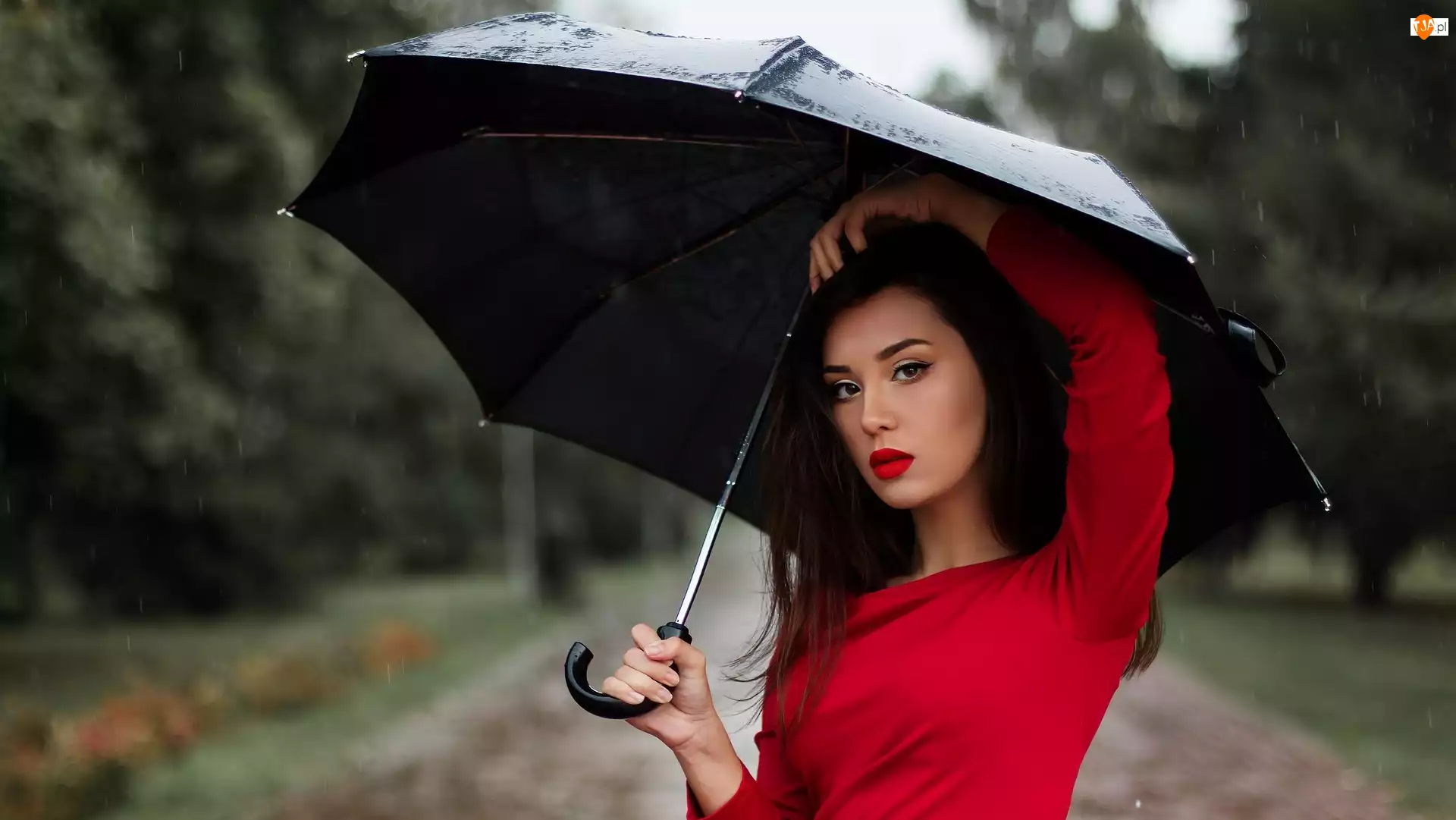 Parasol, Kobieta, Deszcz