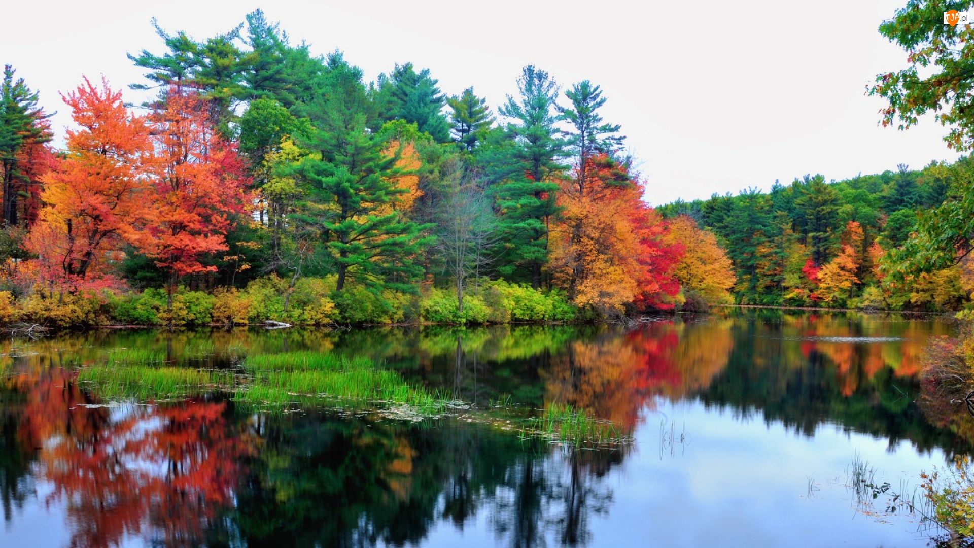 Jezioro, Jesień, Drzewa