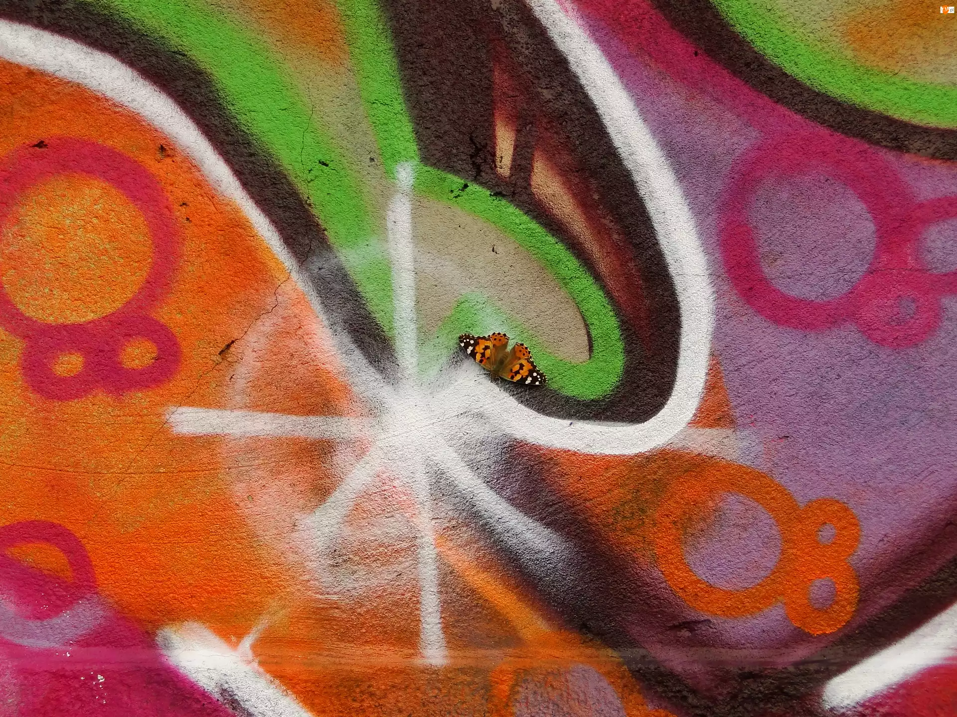 Motyl, Graffiti