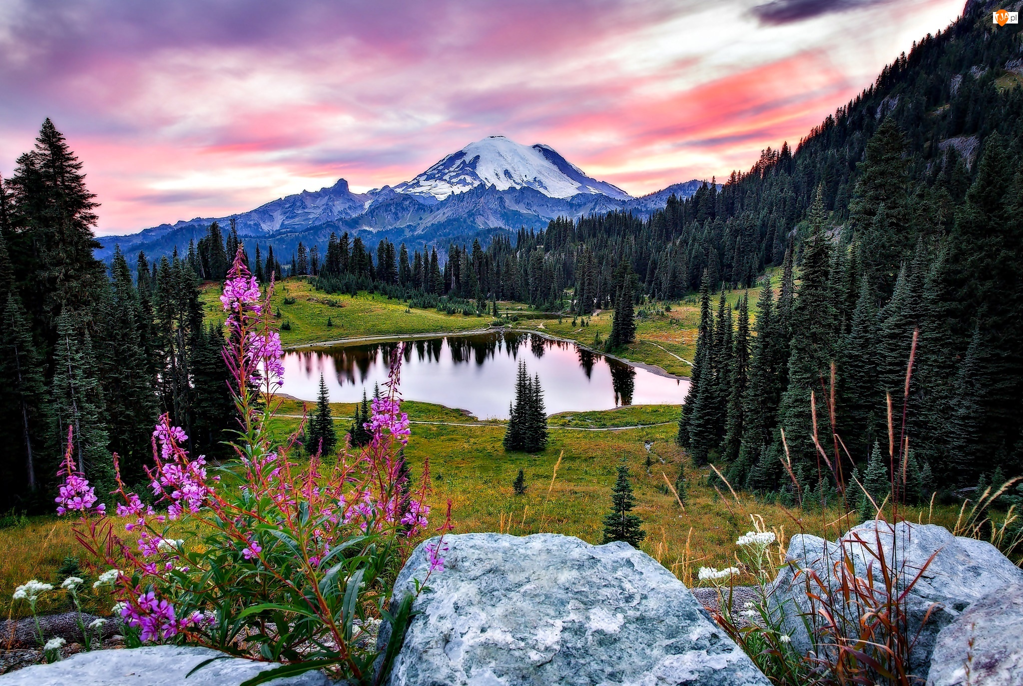 USA, Park Narodowy Mount Rainier, Góry, Jezioro Tipsoo, Lasy