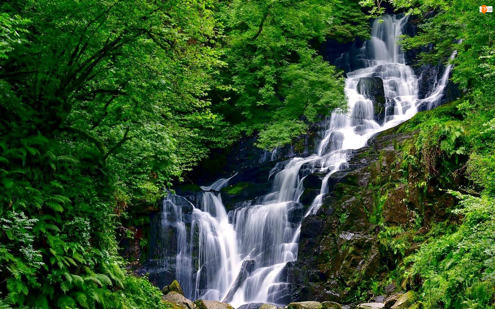 Park Narodowy Killarney, Easach Toirc, Hrabstwo Kerry, Irlandia, Wodospad Torc