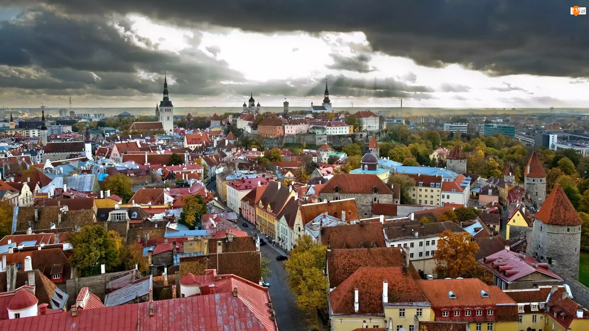 Miasto, Estonia, Tallin