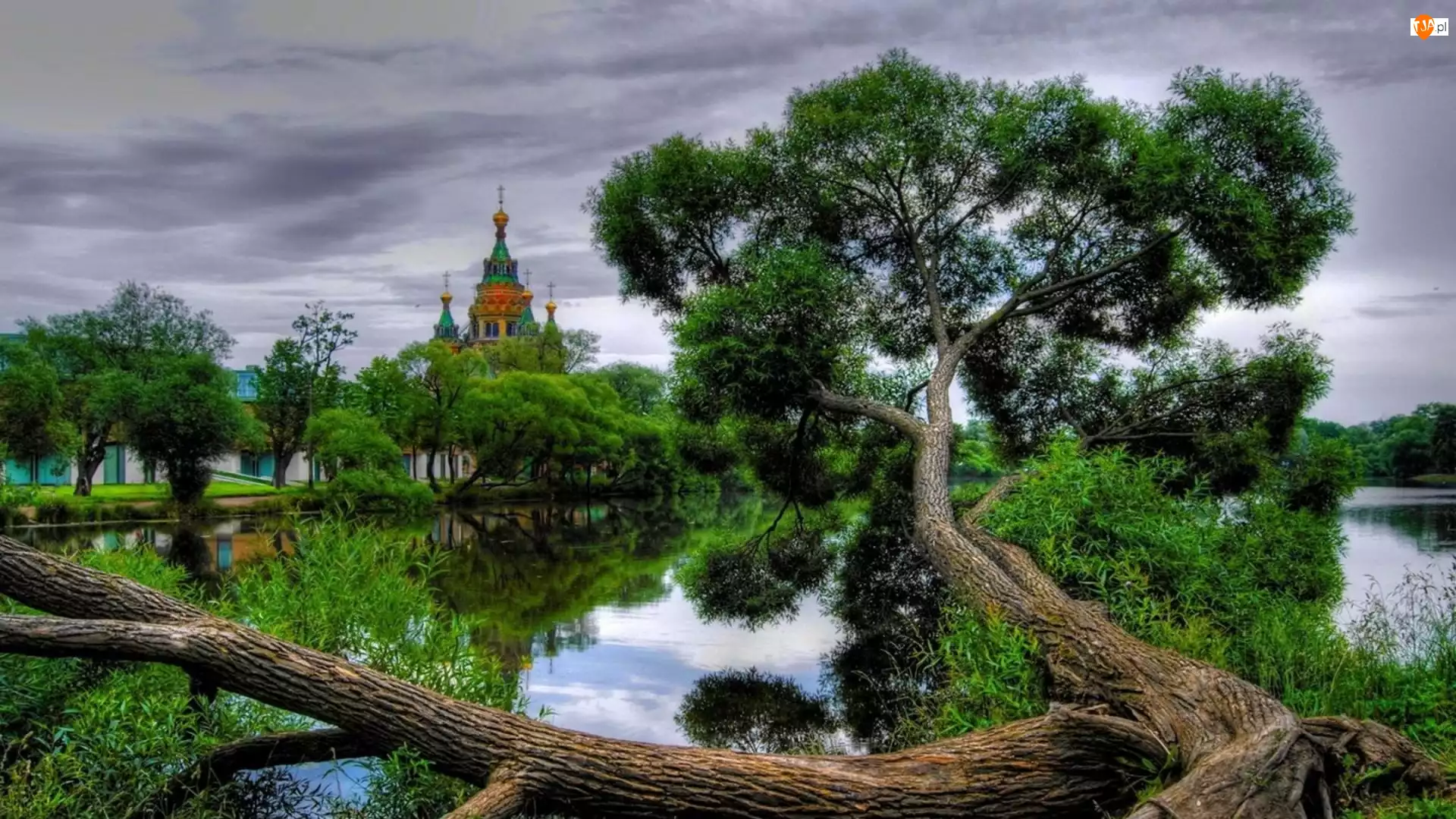 Drzewa, Cerkiew, Rzeka