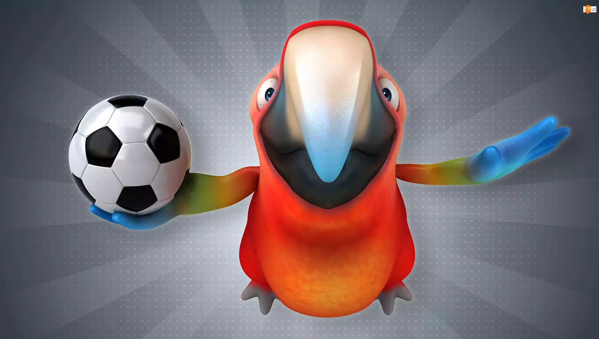Piłka, Grafika 3D, Papuga ara