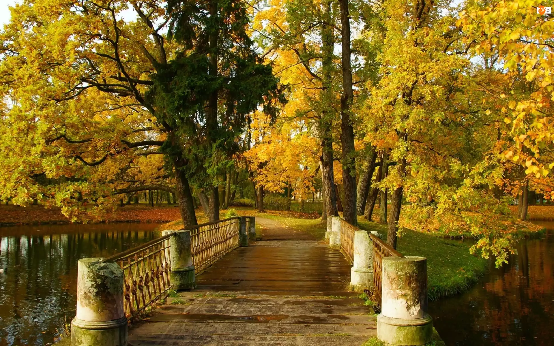 Park, Mostek, Jesień, Drzewa