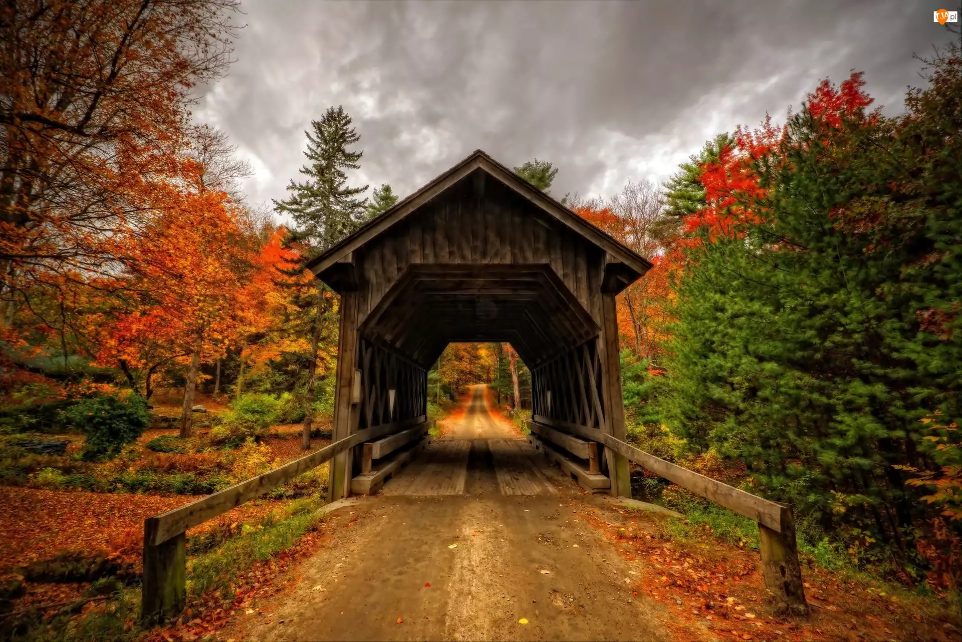 Jesień, Most, Droga, Las