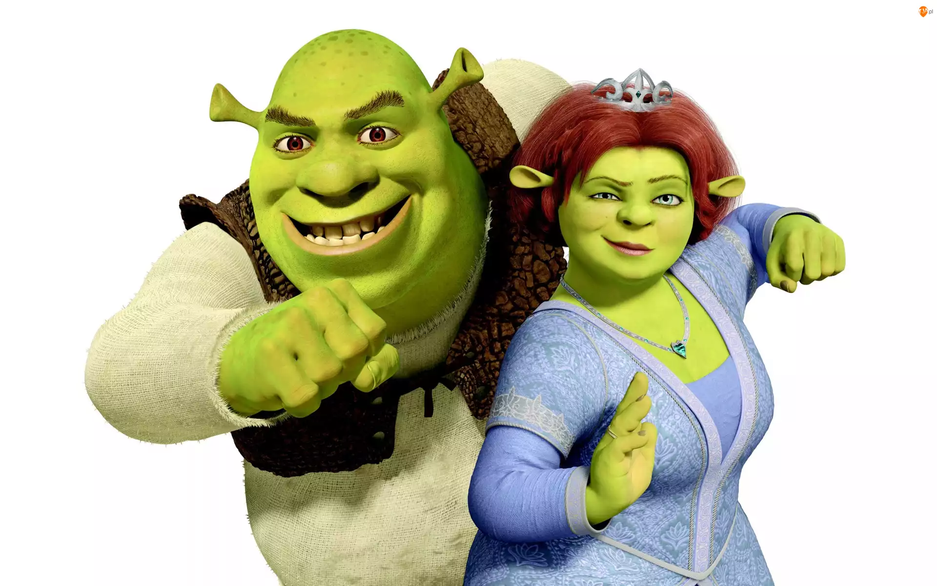 Fiona, Bajka, Shrek