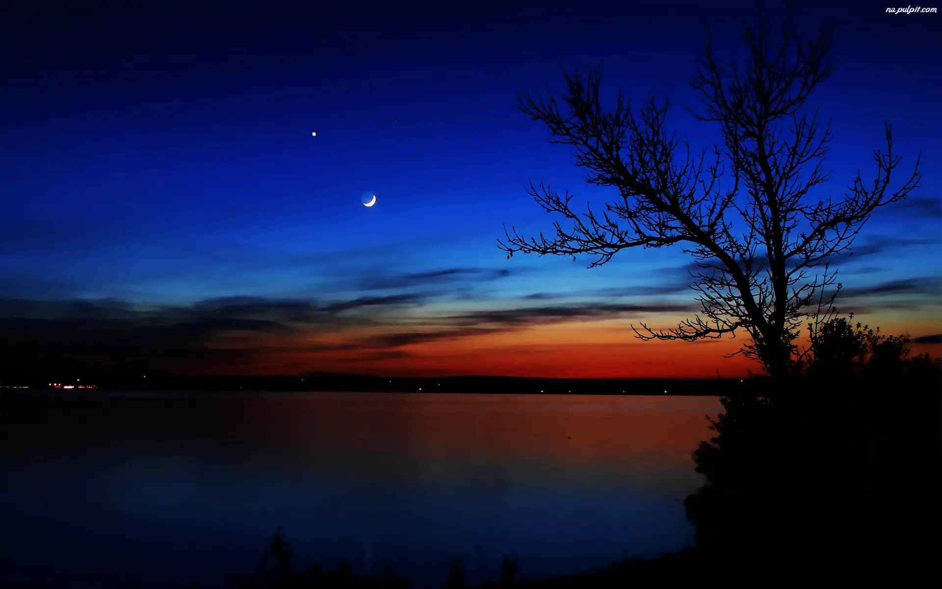 Noc, Księżyc, jezioro, Drzewo
