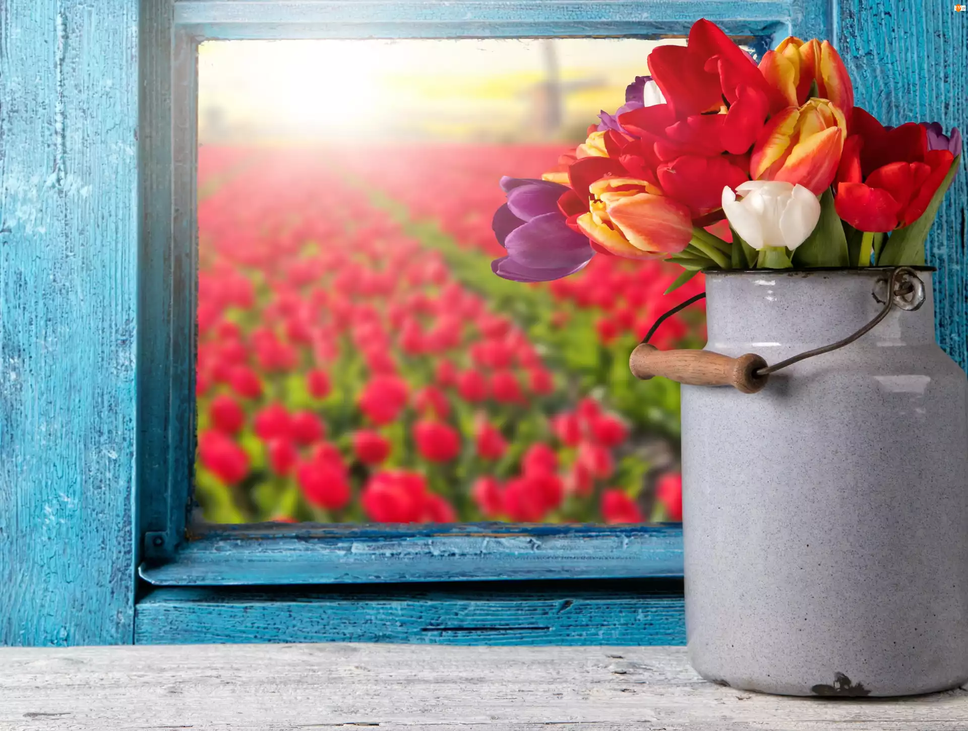 Okno, Tulipany, Kwiaty