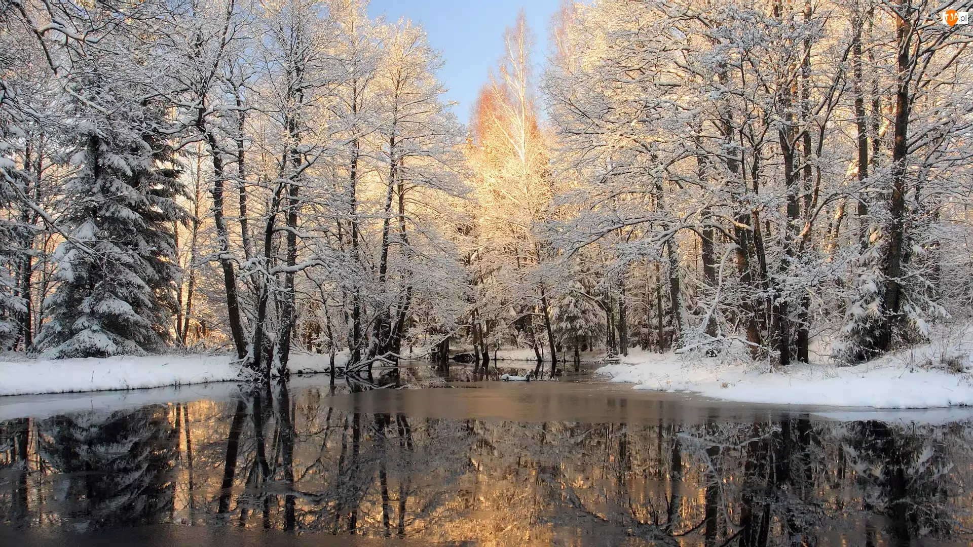 Zima, Drzewa, Krajobraz, Rzeka