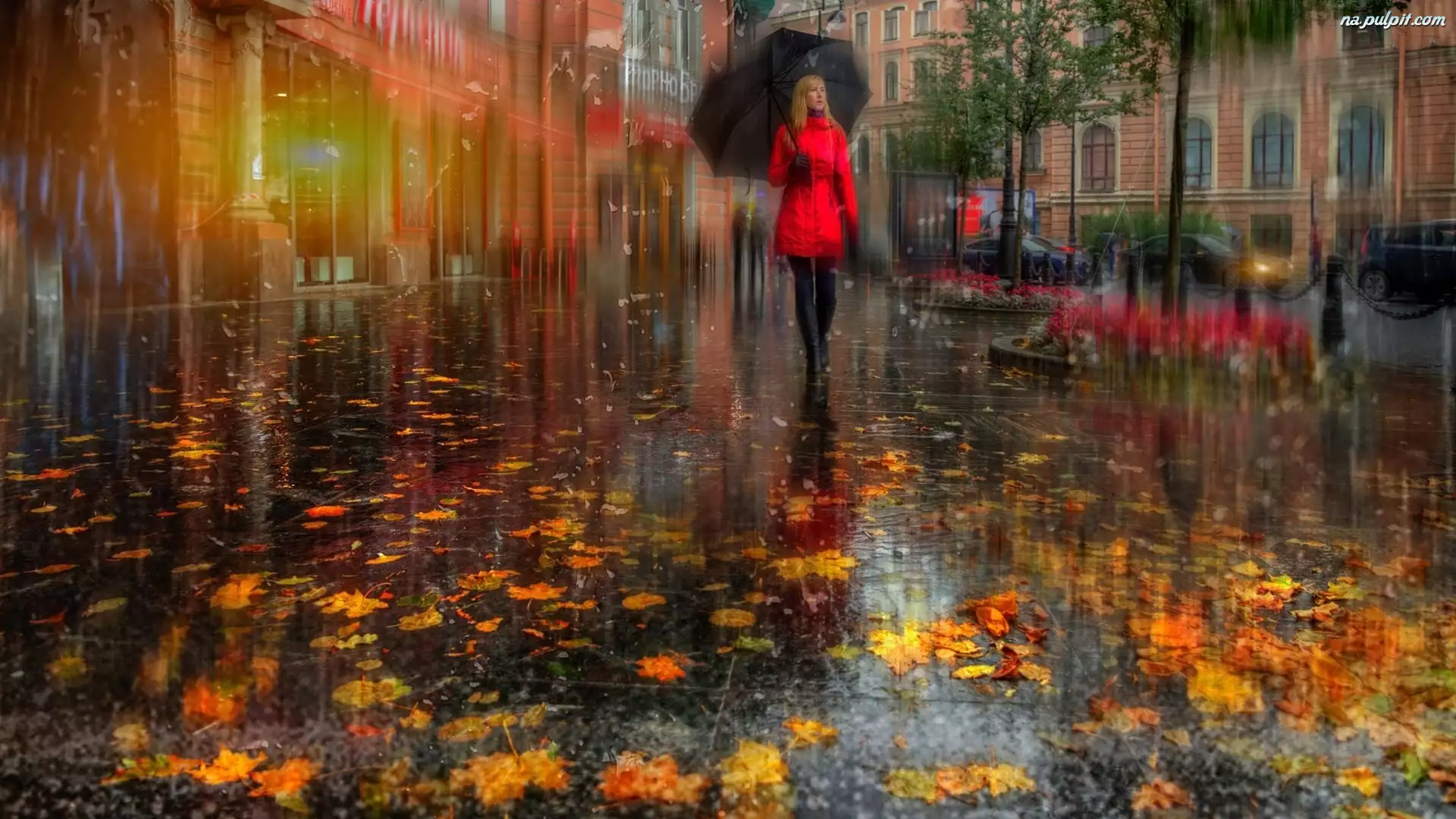 Deszcz, Kobieta, Ulica, Parasol, Liście
