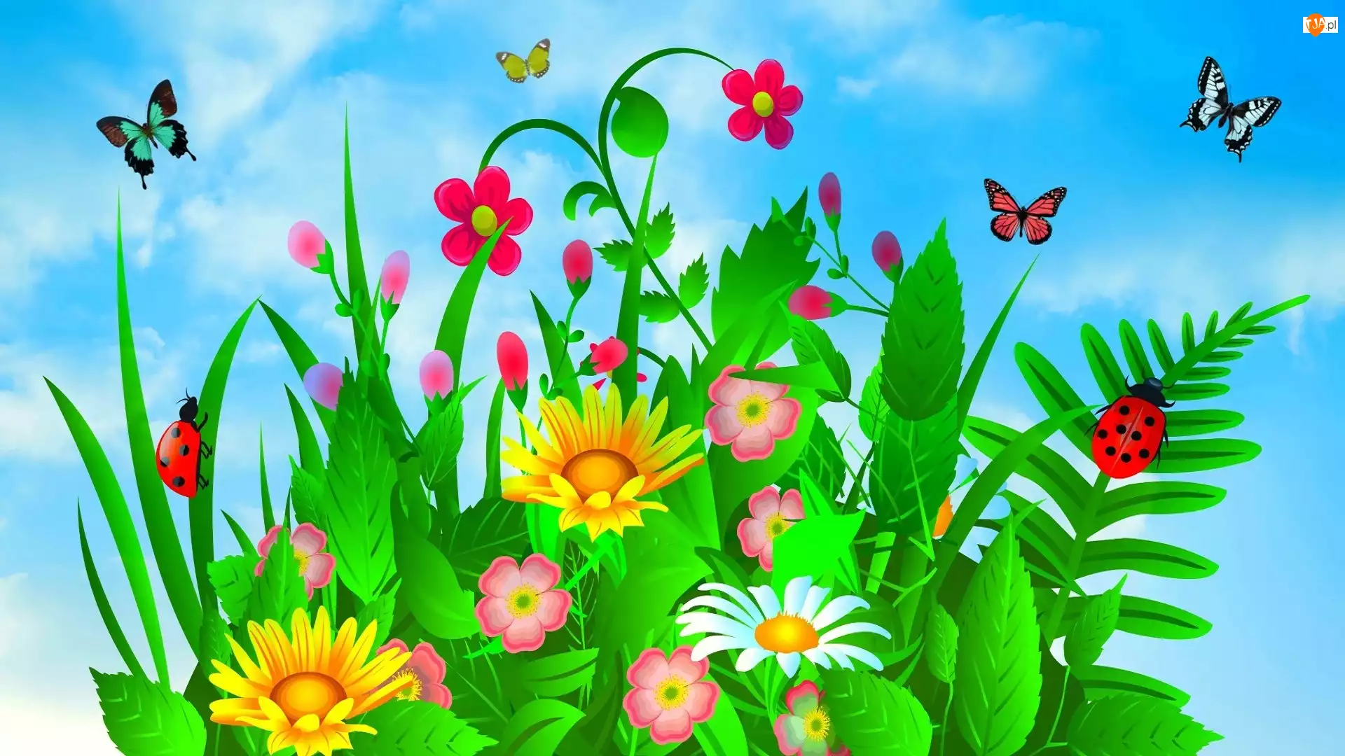 Grafika 2D, Biedronki, Kwiatki, Motyle