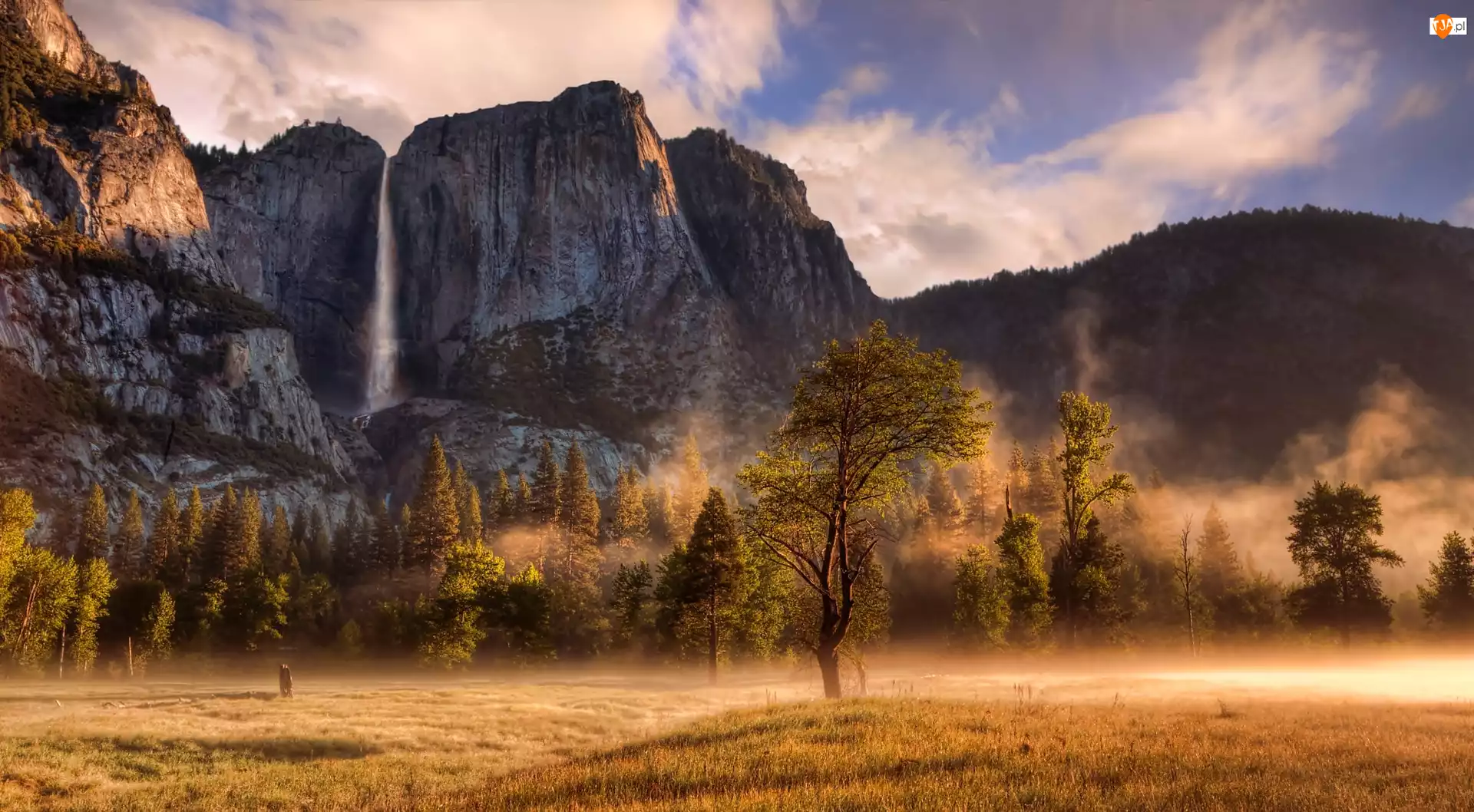 Góry, Skały, Stan Kalifornia, Stany Zjednoczone, Mgła, Park Narodowy Yosemite, Drzewa