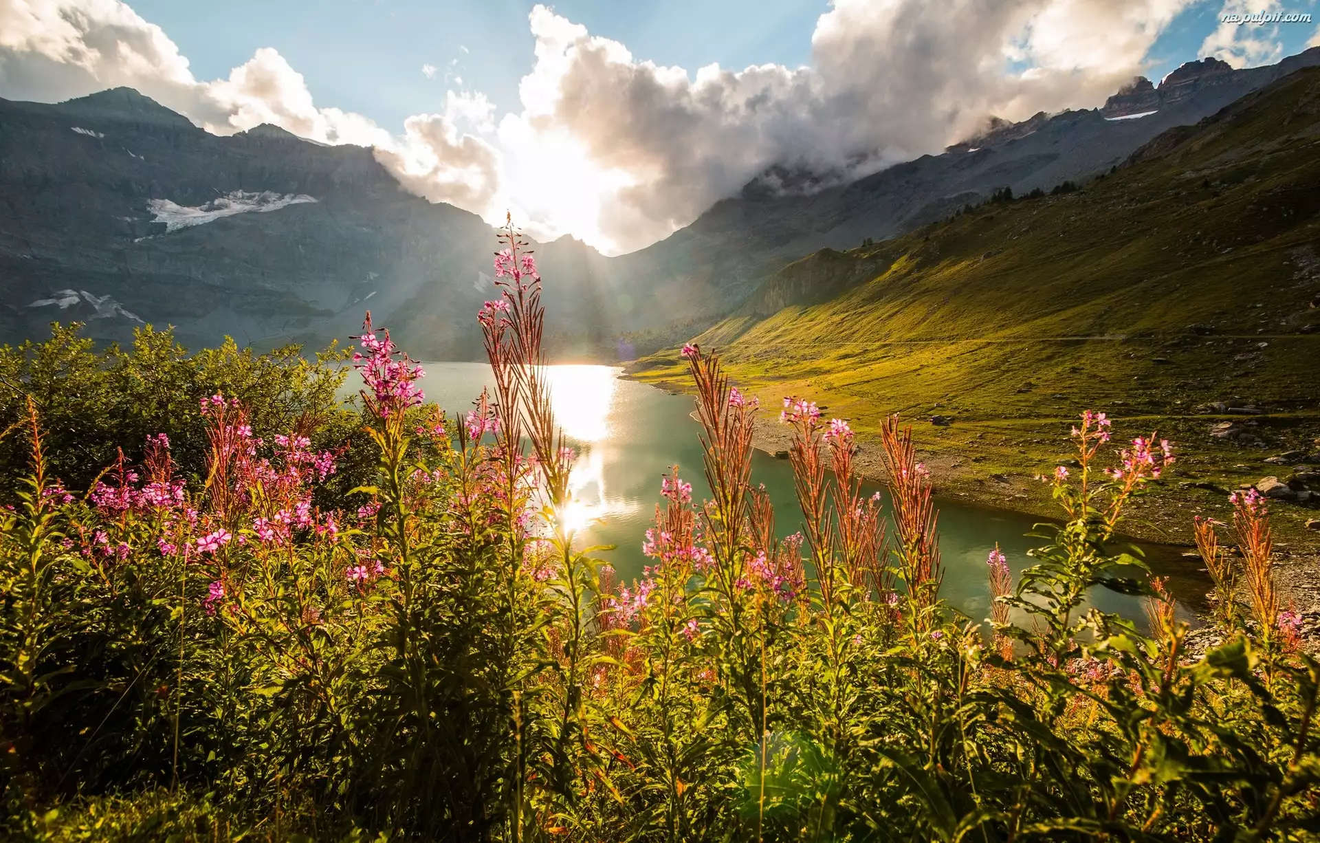 Jezioro Lac de Salanfe, Szwajcaria, Góry Alpy, Wschód słońca, Kwiaty