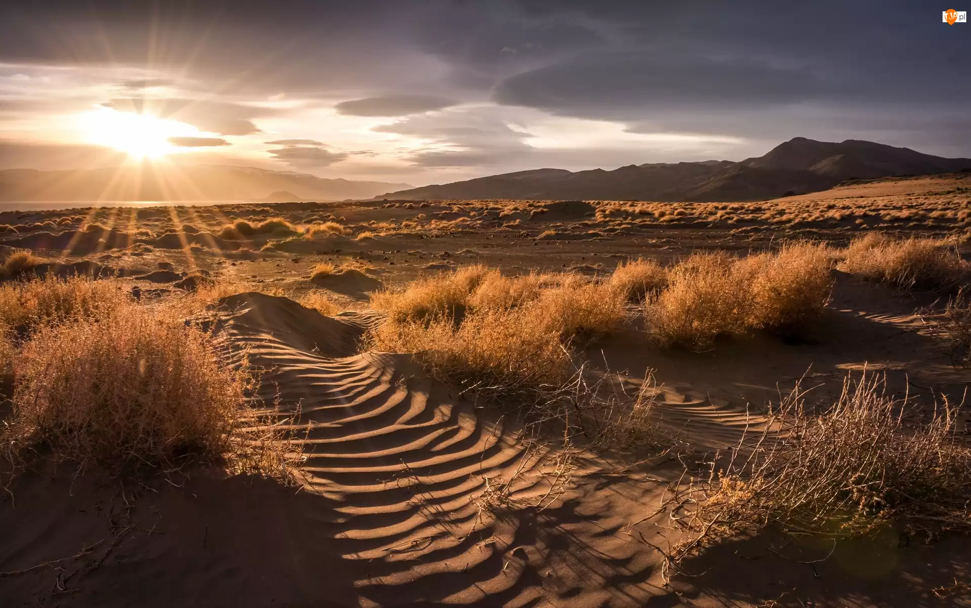 Promienie słońca, Wielka Pustynia Słona, Stan Nevada, Stany Zjednoczone, Trawa, Great Salt Lake Desert, Wschód