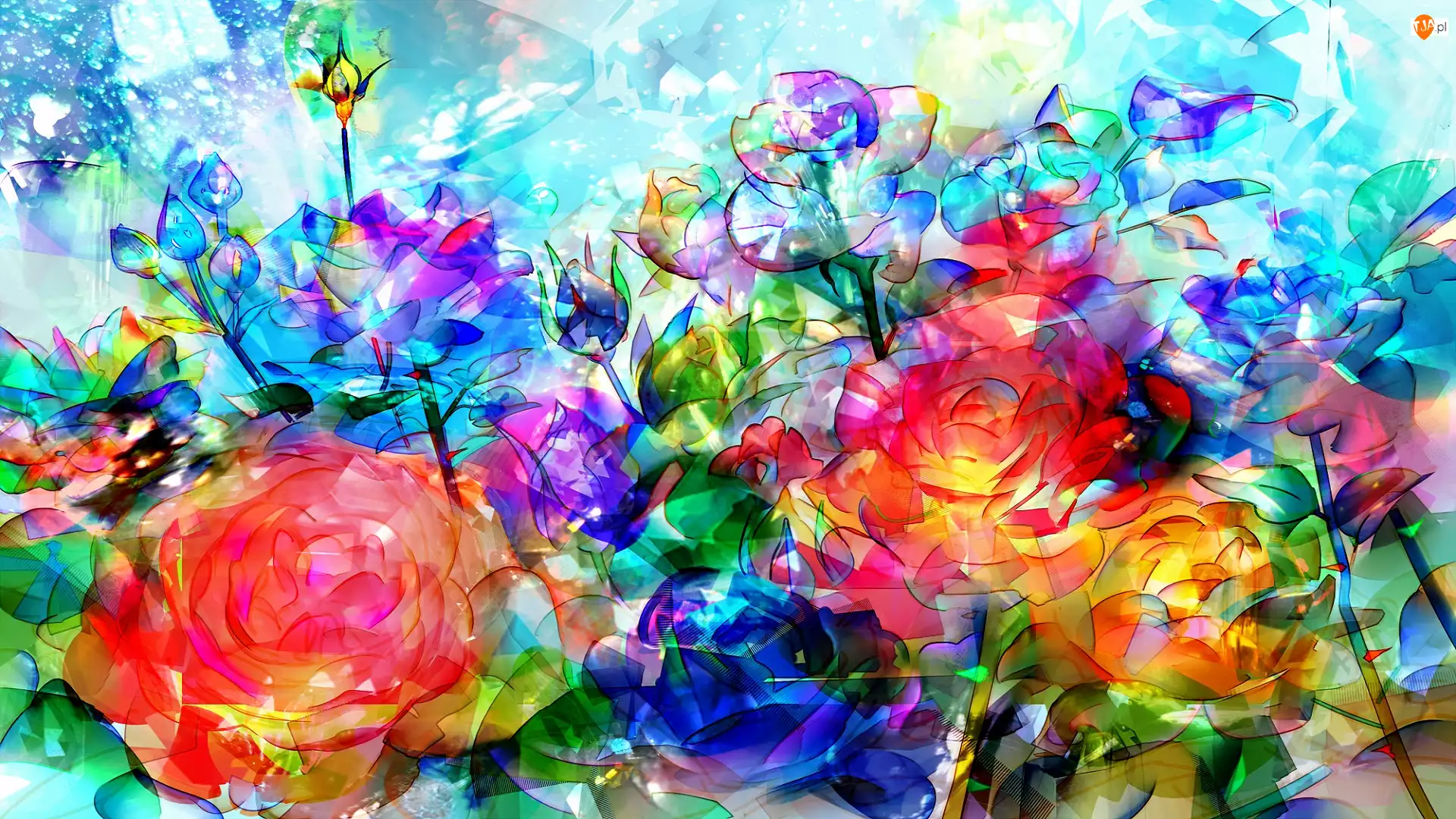Paintography, Kolorowe, Kwiaty, Róże