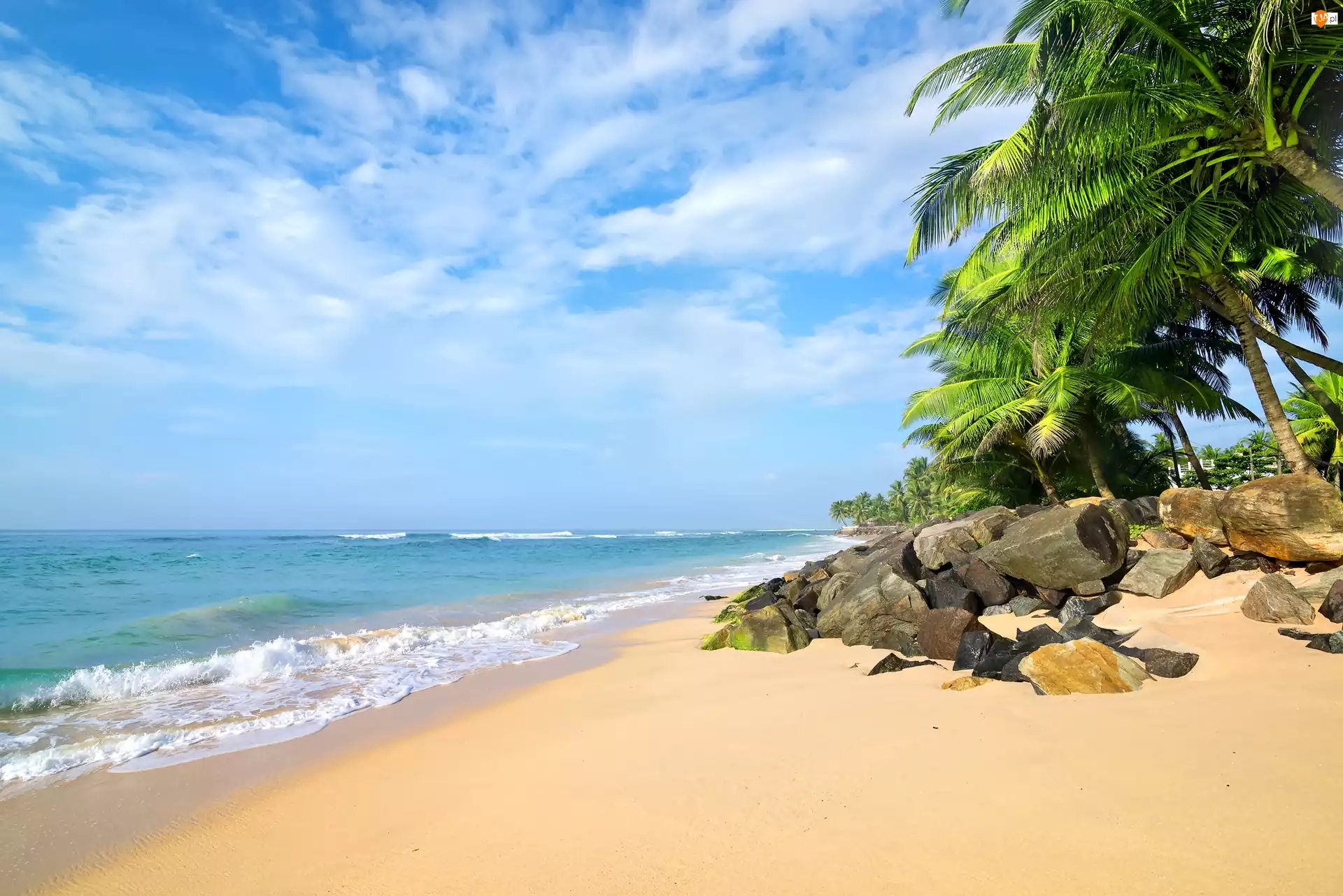 Plaża, Palmy, Morze, Sri Lanka, Kamienie