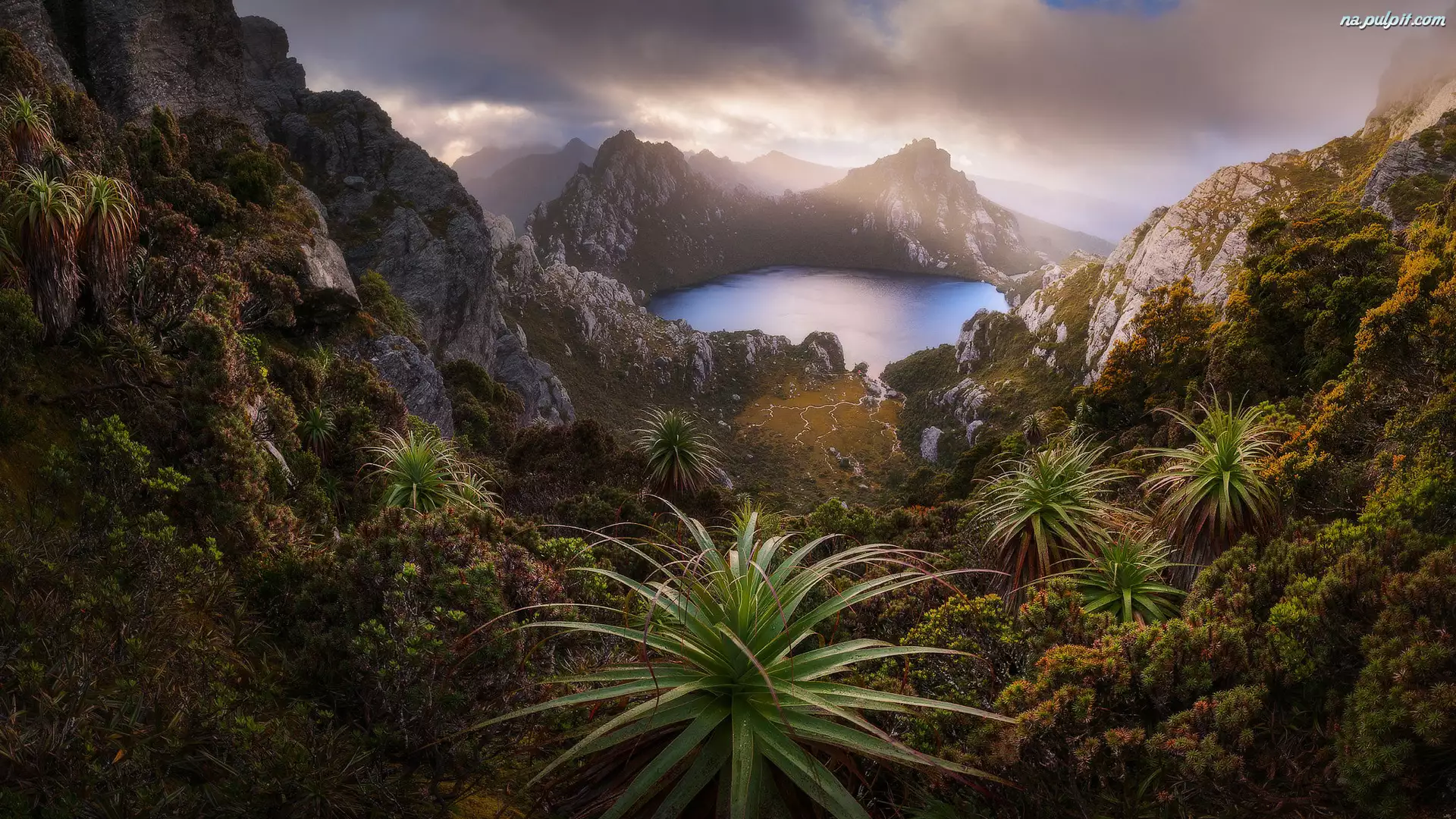 Tasmania, Park Narodowy Southwest, Rośliny, Australia, Jezioro Oberon, Skały, Góry