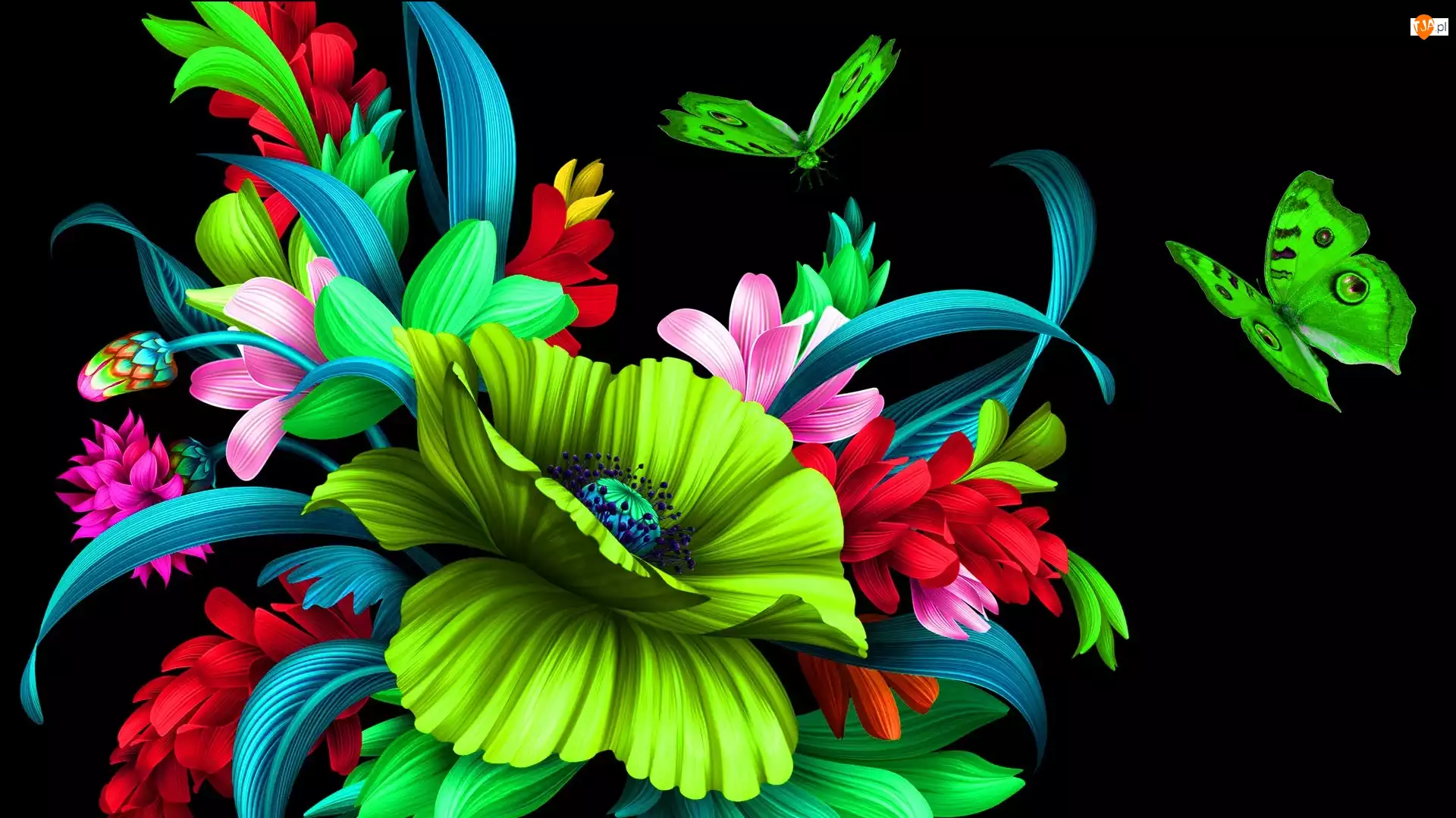 Motyle, Grafika 2D, Kwiaty