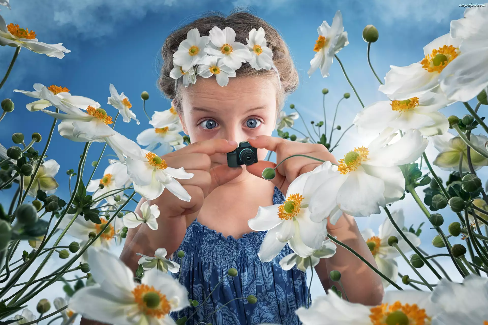 Dziewczynka, Śmieszne, Kwiaty, Aparat fotograficzny