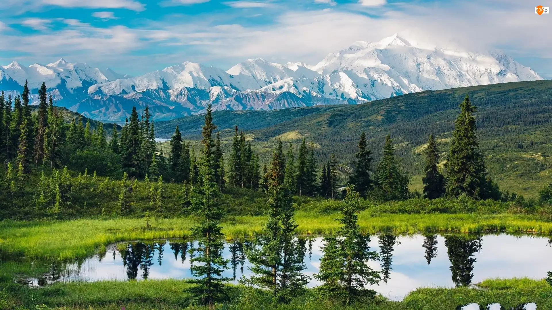 Góry, Drzewa, Stany Zjednoczone, Jezioro, Alaska, Park Narodowy Denali