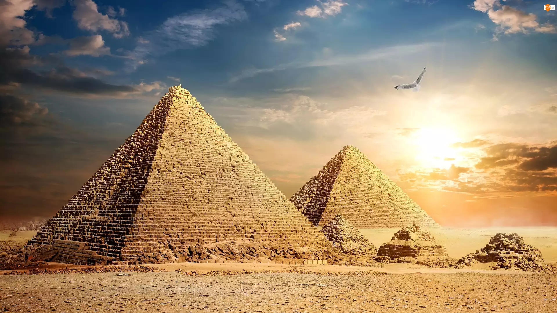 Piramidy, Ptak, Giza, Egipt, Piramida Cheopsa