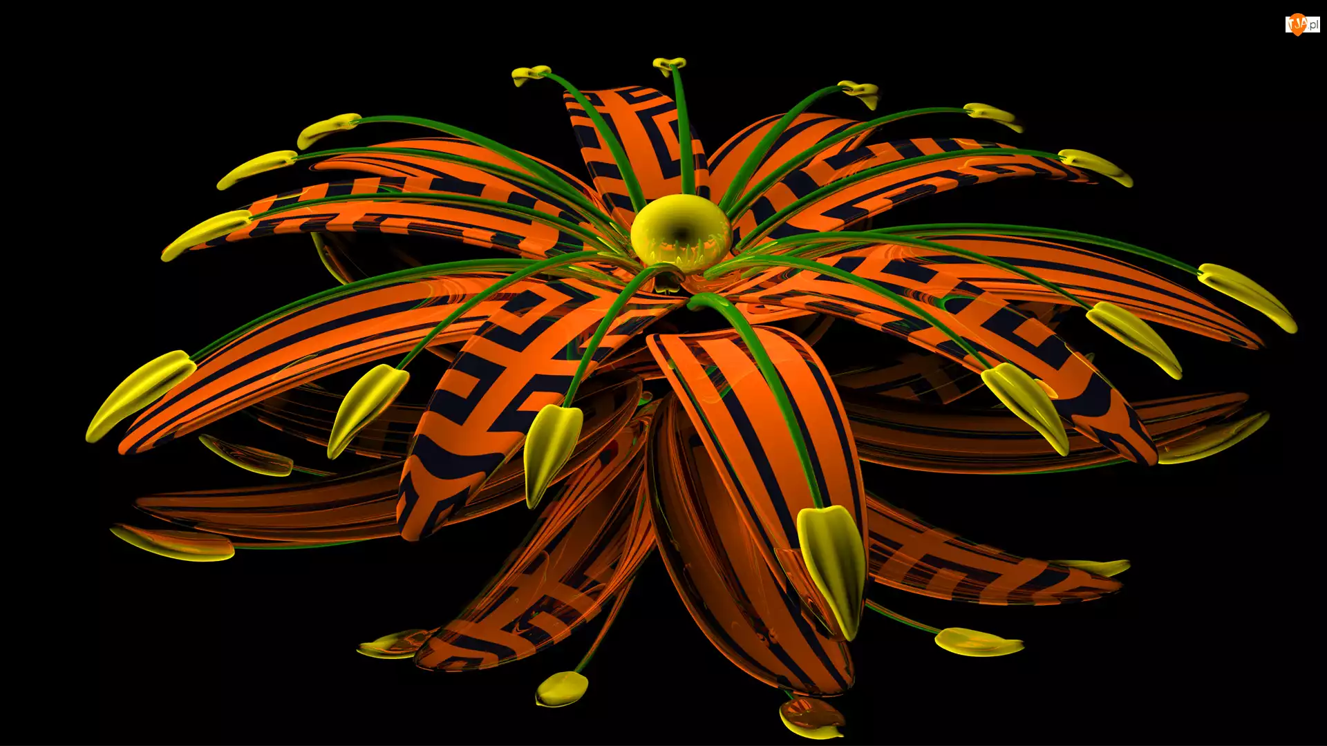 Kwiat, Grafika 3D, Pomarańczowy