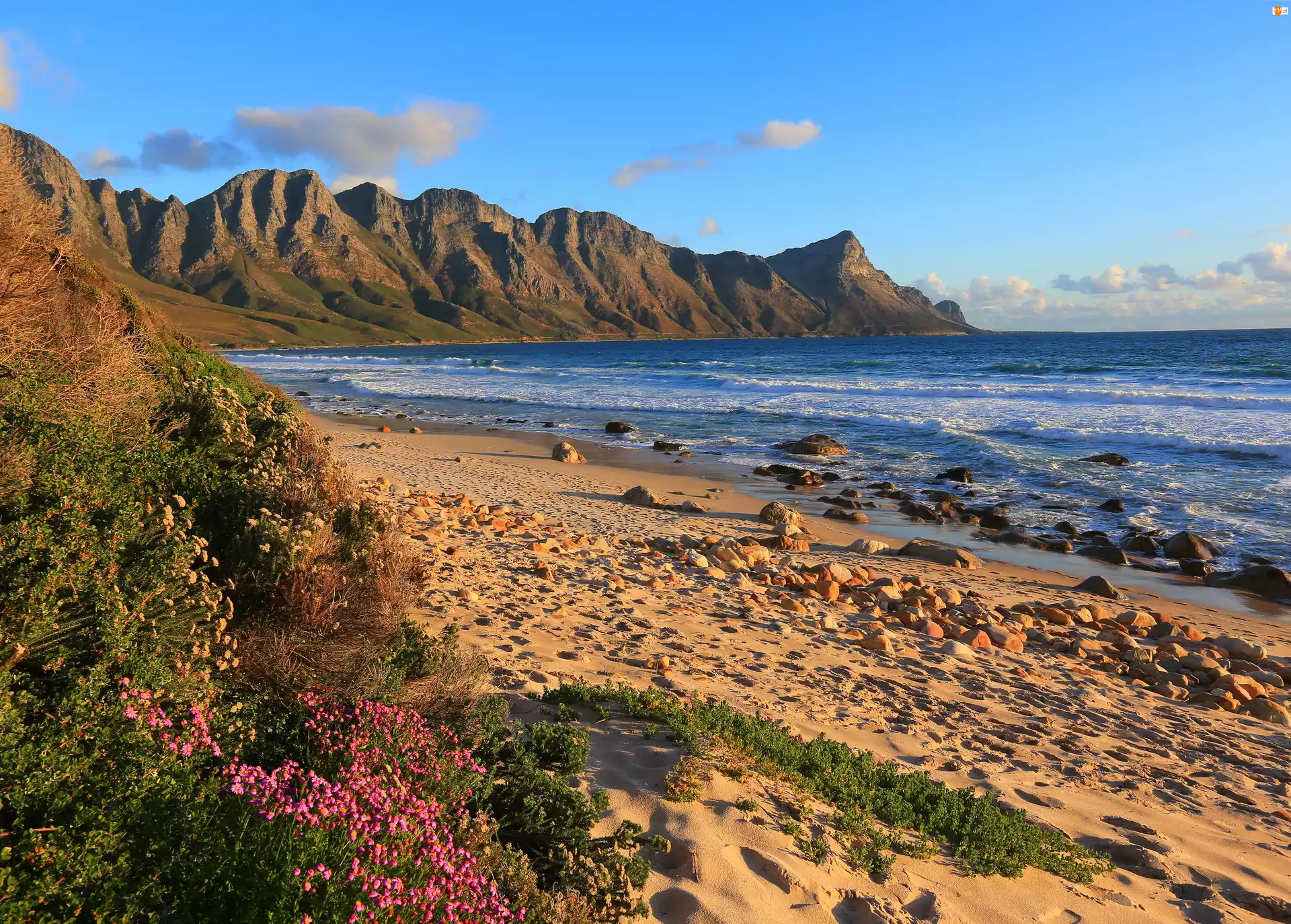 Góry, Republika Południowej Afryki, Plaża, Zatoka False Bay, Kamienie