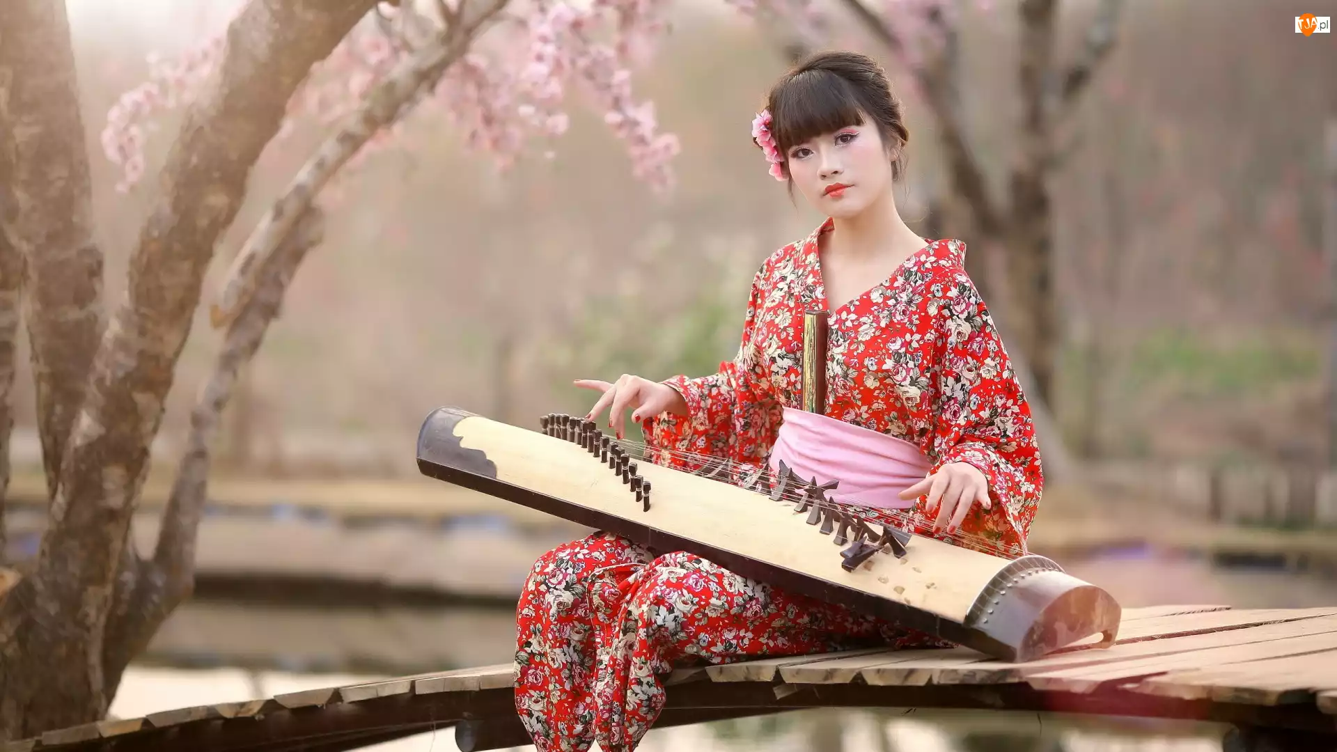 Dziewczyna, Koto, Kimono, Instrument