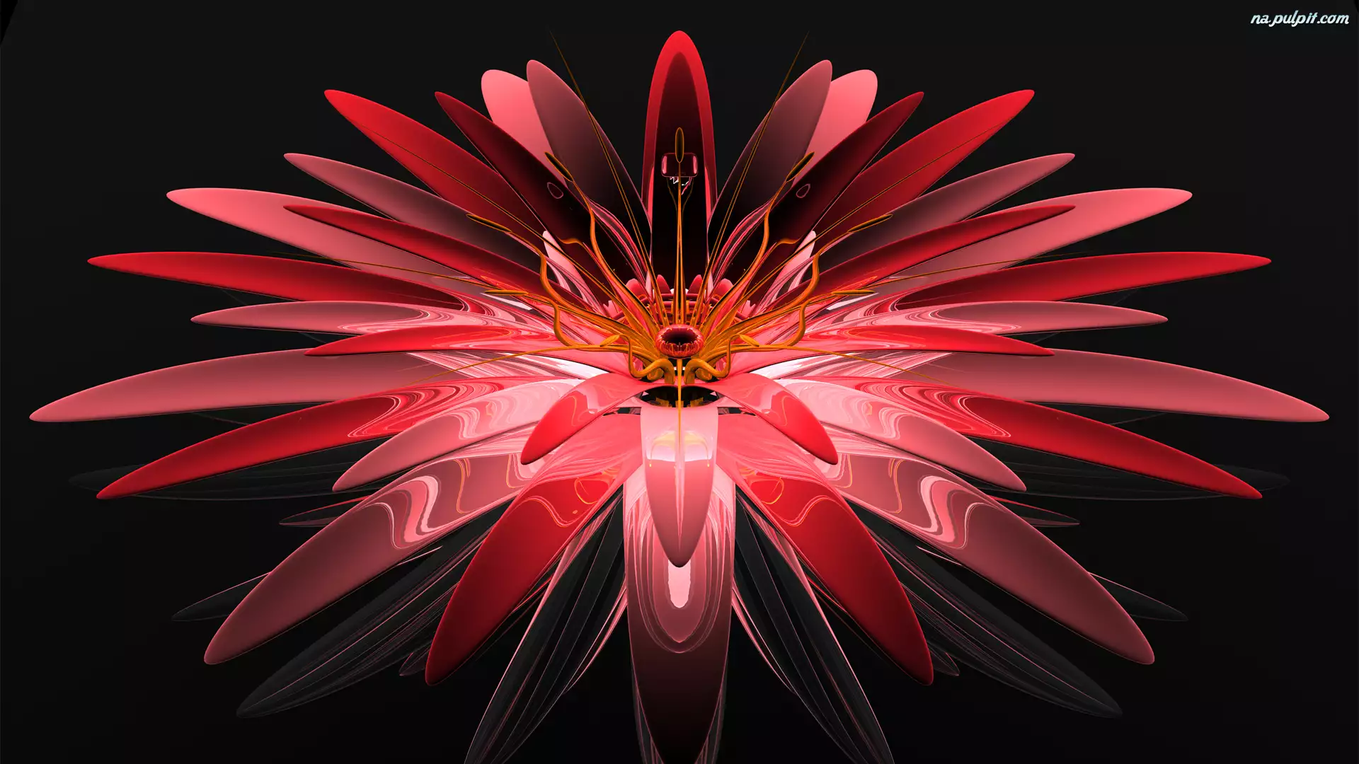 Kwiat, Grafika 3D, Czerwony