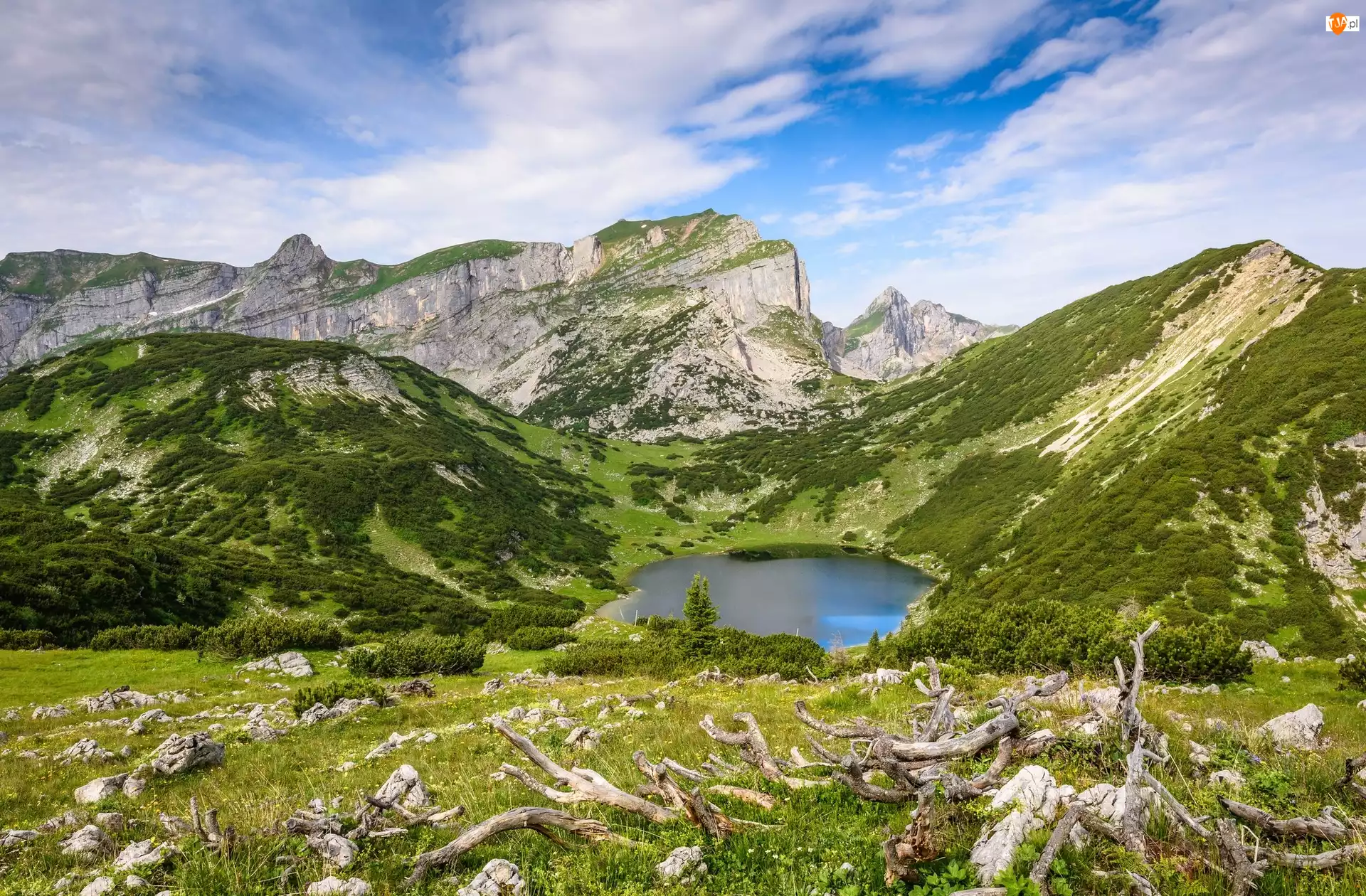 Jezioro Zireiner See, Konary, Góry, Austria, Wzgórza