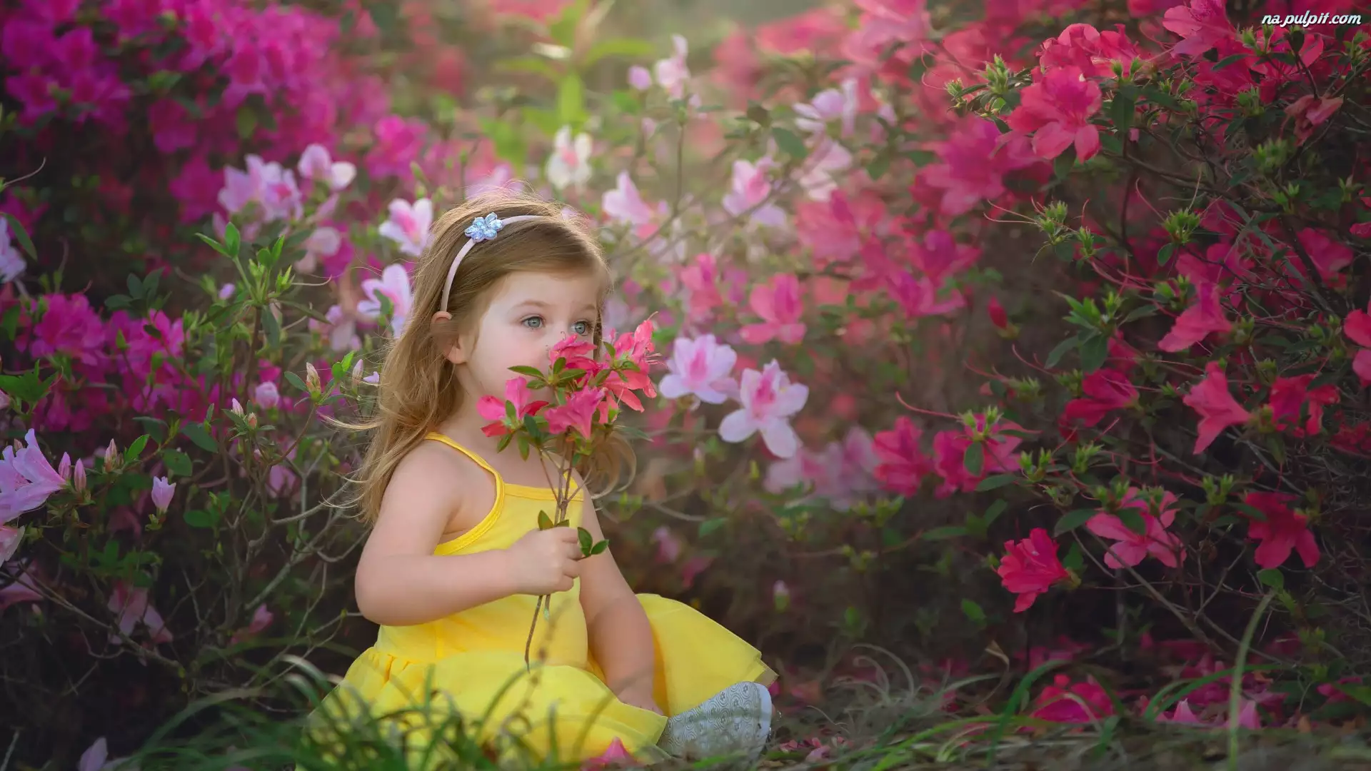 Dziewczynka wąchająca kwiatki