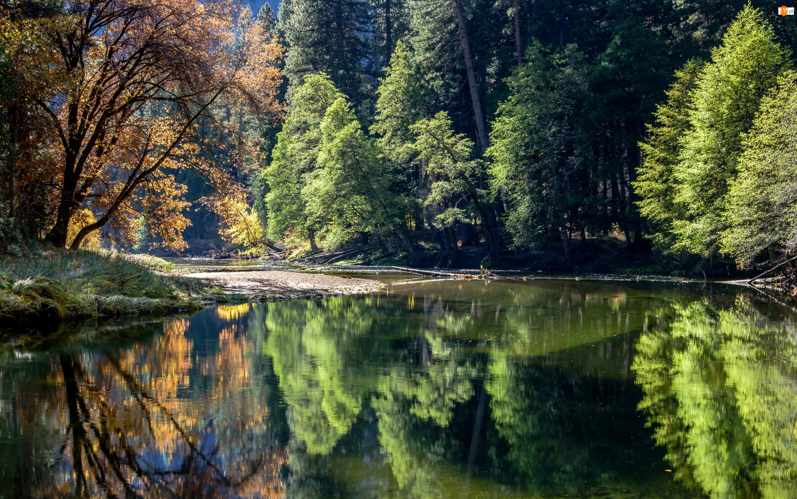 Stan Kalifornia, Park Narodowy Yosemite, Drzewa, Stany Zjednoczone, Odbicie, Las, Rzeka