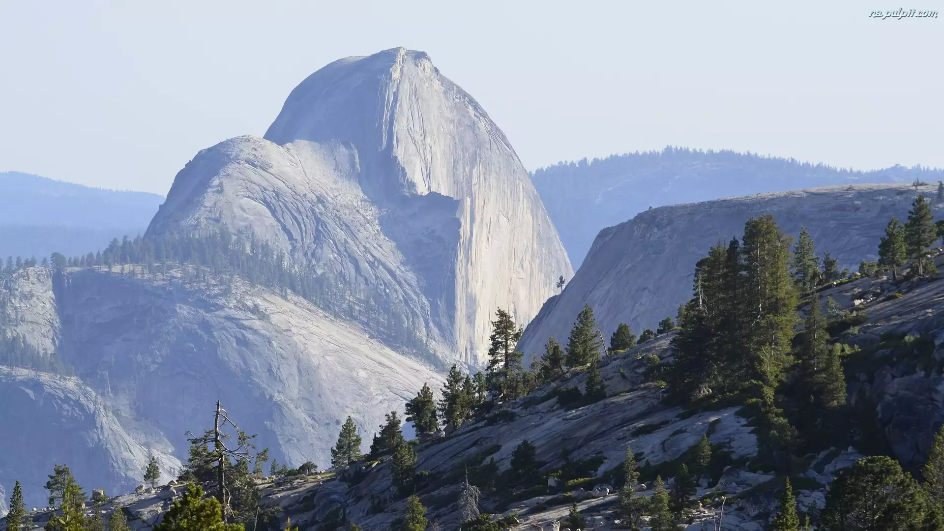 Park Narodowy Yosemite, Góra Half Dome, Stany Zjednoczone, Drzewa, Stan Kalifornia, Góry
