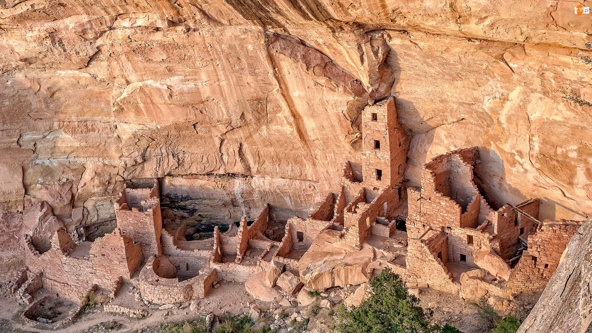Pałac Klifowy, Skały, Stan Kolorado, Stany Zjednoczone, Zabytek, Park Narodowy Mesa Verde, Ruiny osiedla klifowego